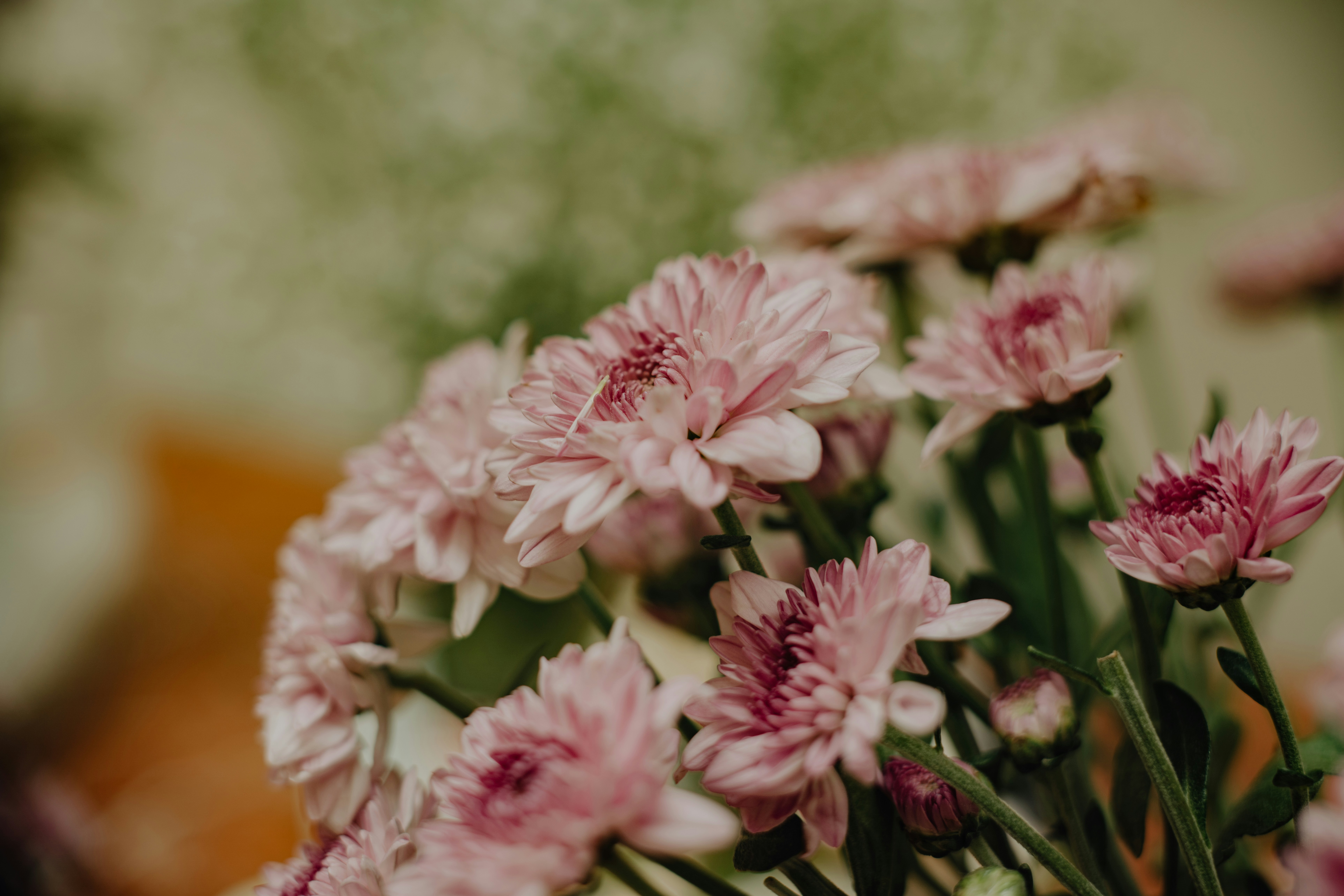 Photo by viditgoswami