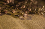 A poetic journal with pressed flowers marking pages, glowing softly in warm light.