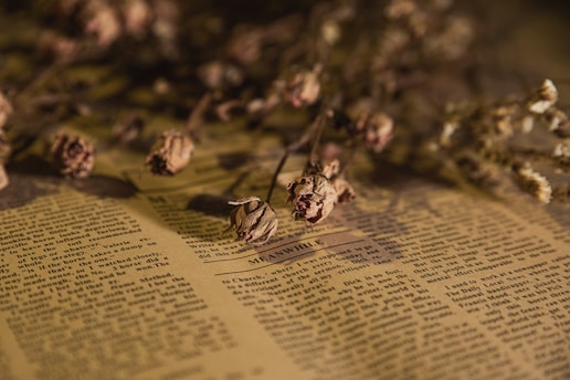 Dried flowers are delicately placed on an open page of an old, yellowed book with visible text. The scene is softly lit, creating a warm and nostalgic atmosphere, with shadows cast by the flowers.