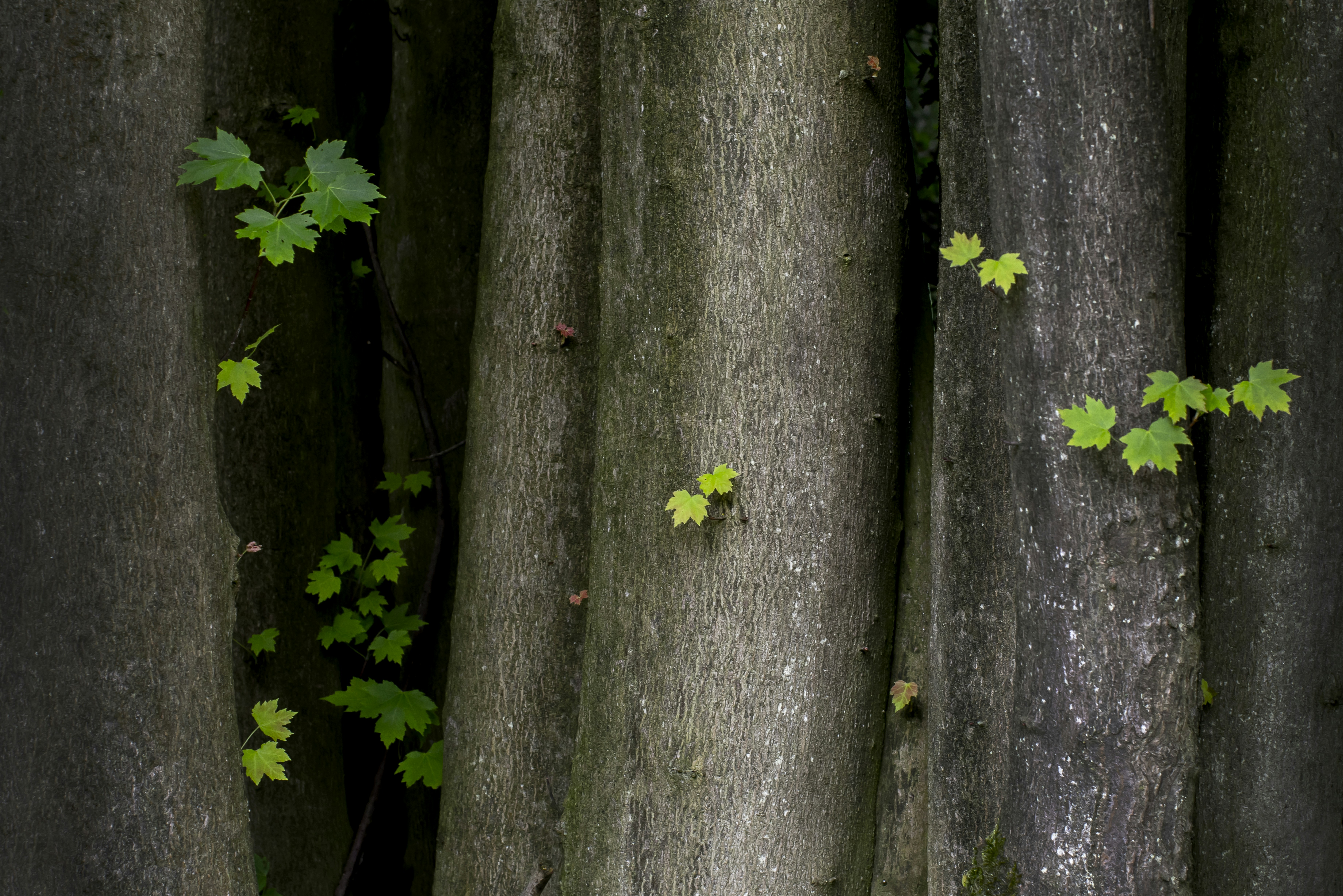 Photo by switch_dtp_fotografie