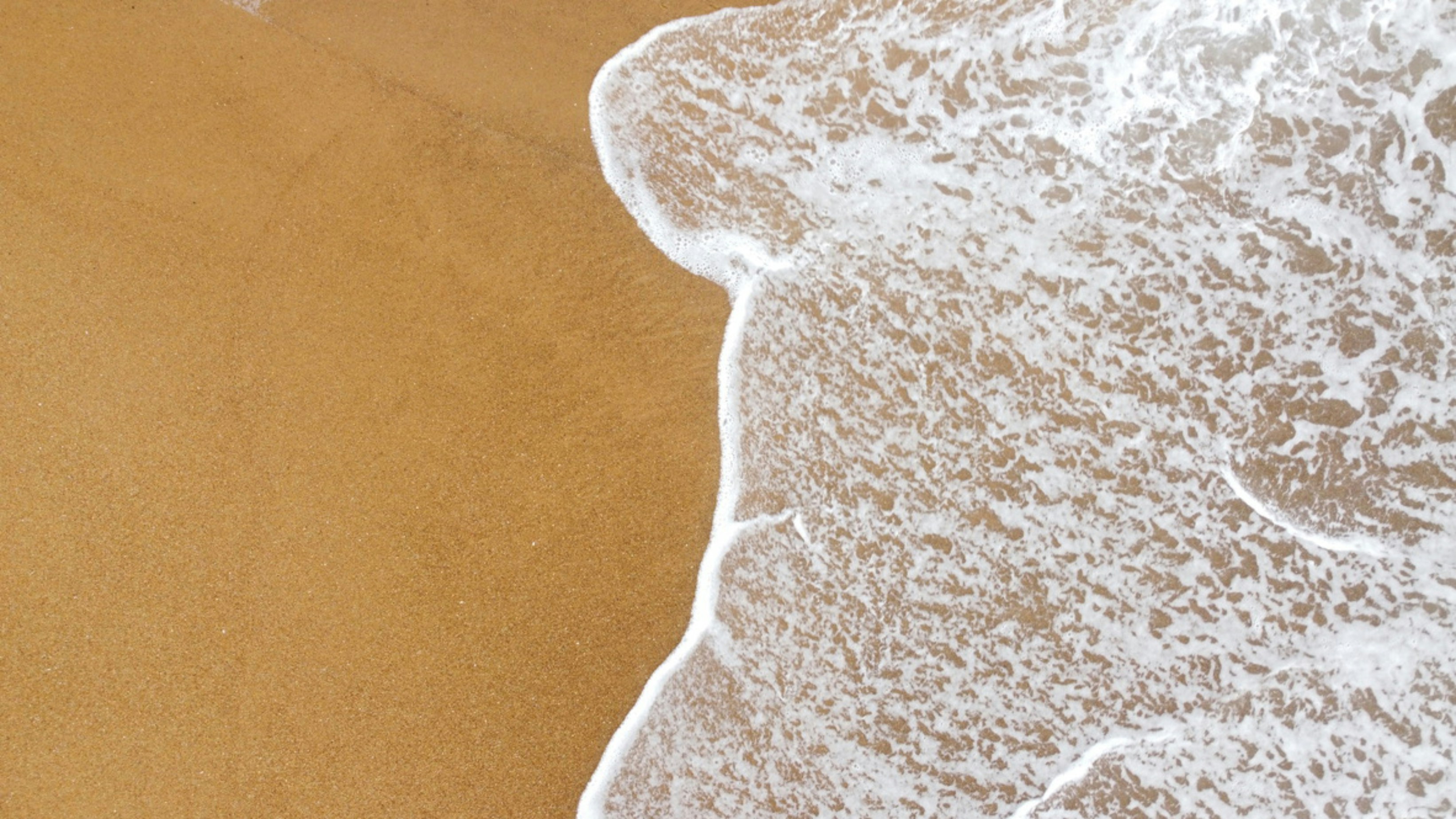 Photo by maria_melnyk