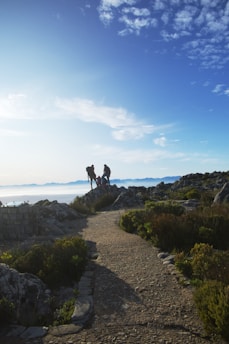 a group of people standing on a rock ledge overlooking a body of water