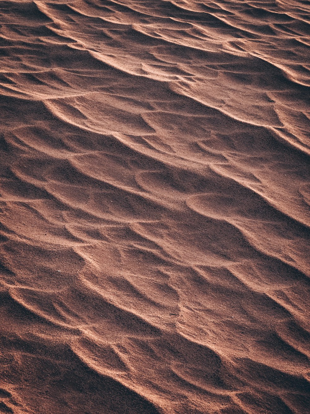 a close-up of a sand dune