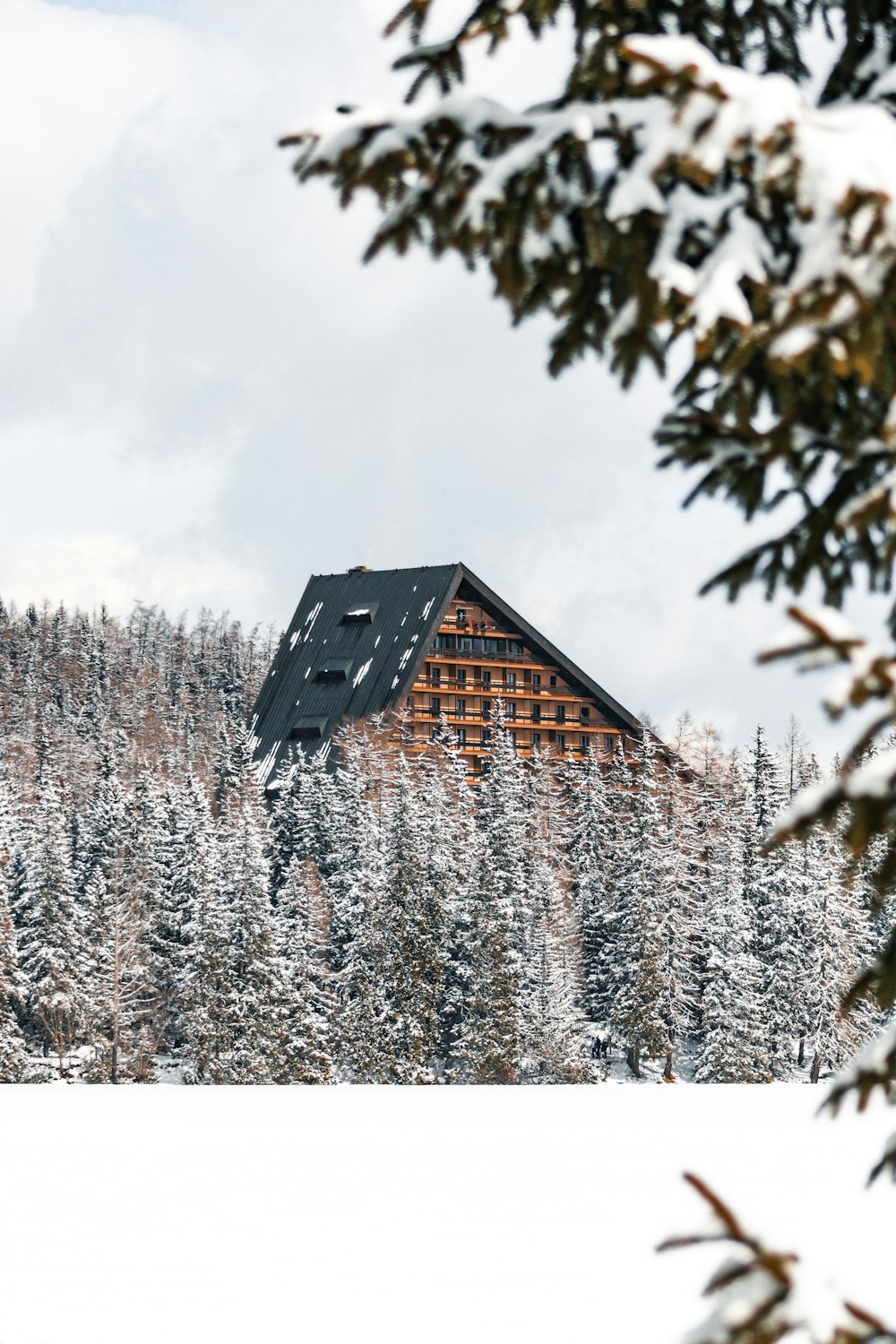 a building with a tower surrounded by trees