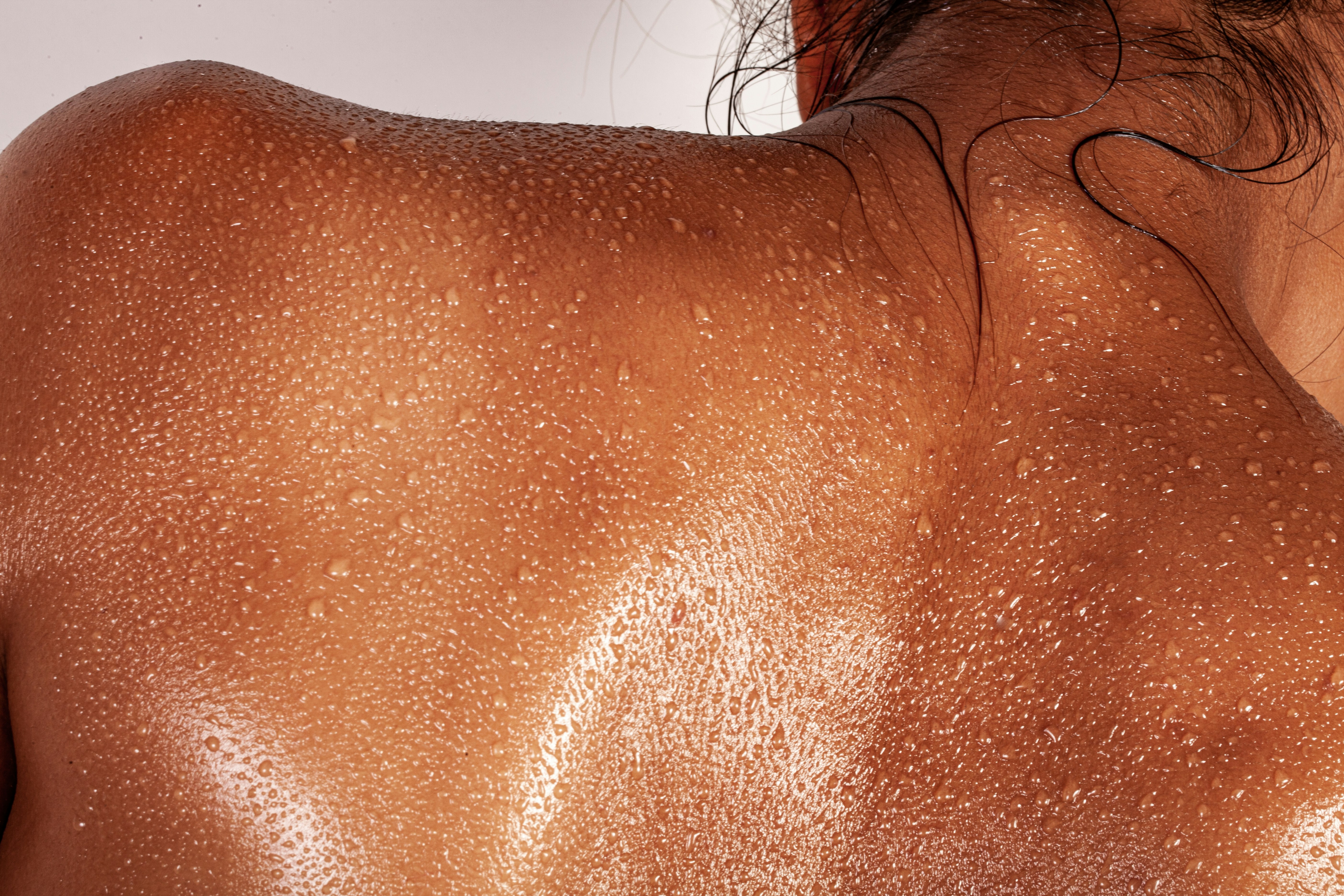 Stop Ruining Their Skin: How Often Should You Bathe an Indoor Dog?