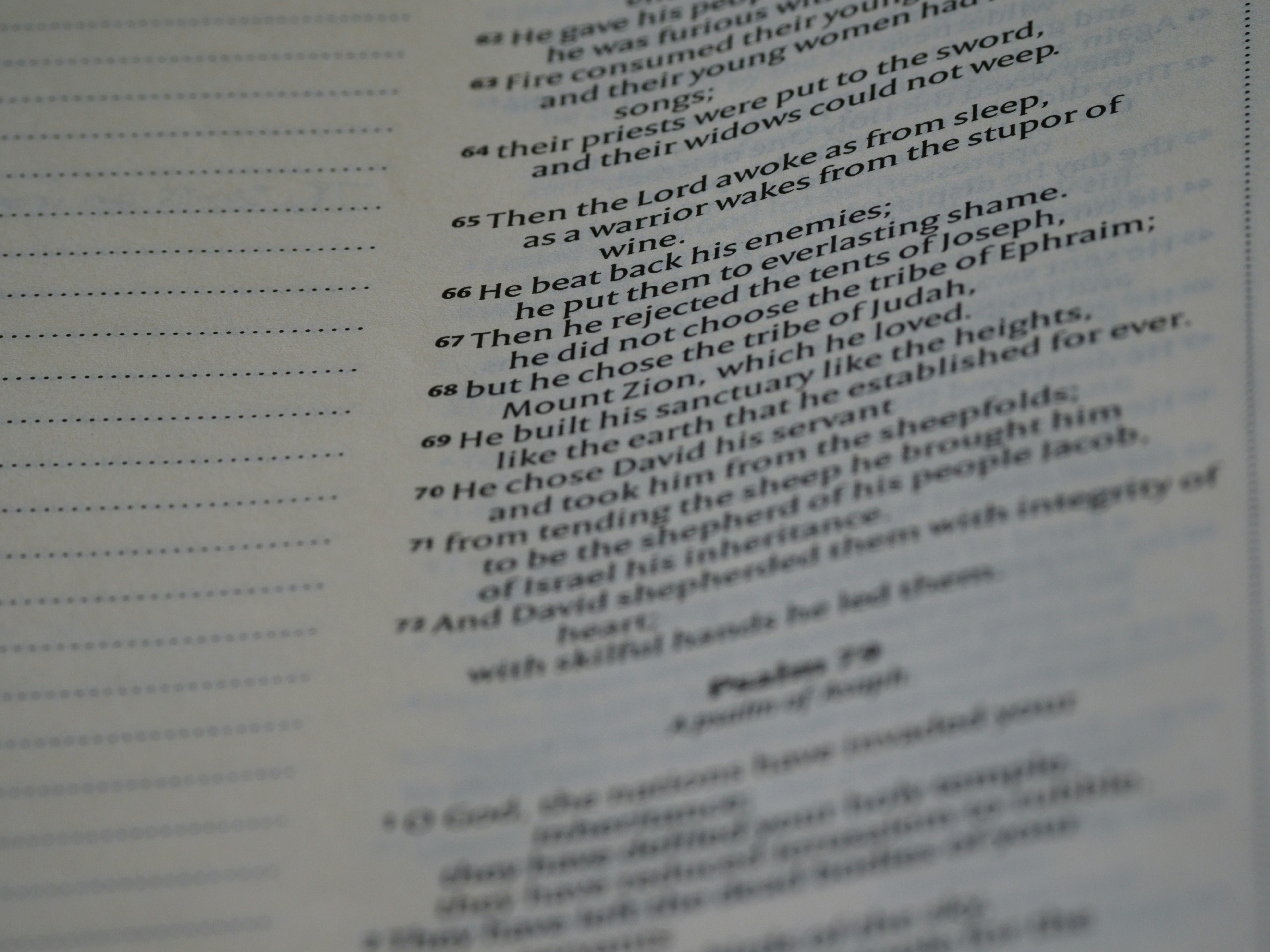 Photo by brett_jordan