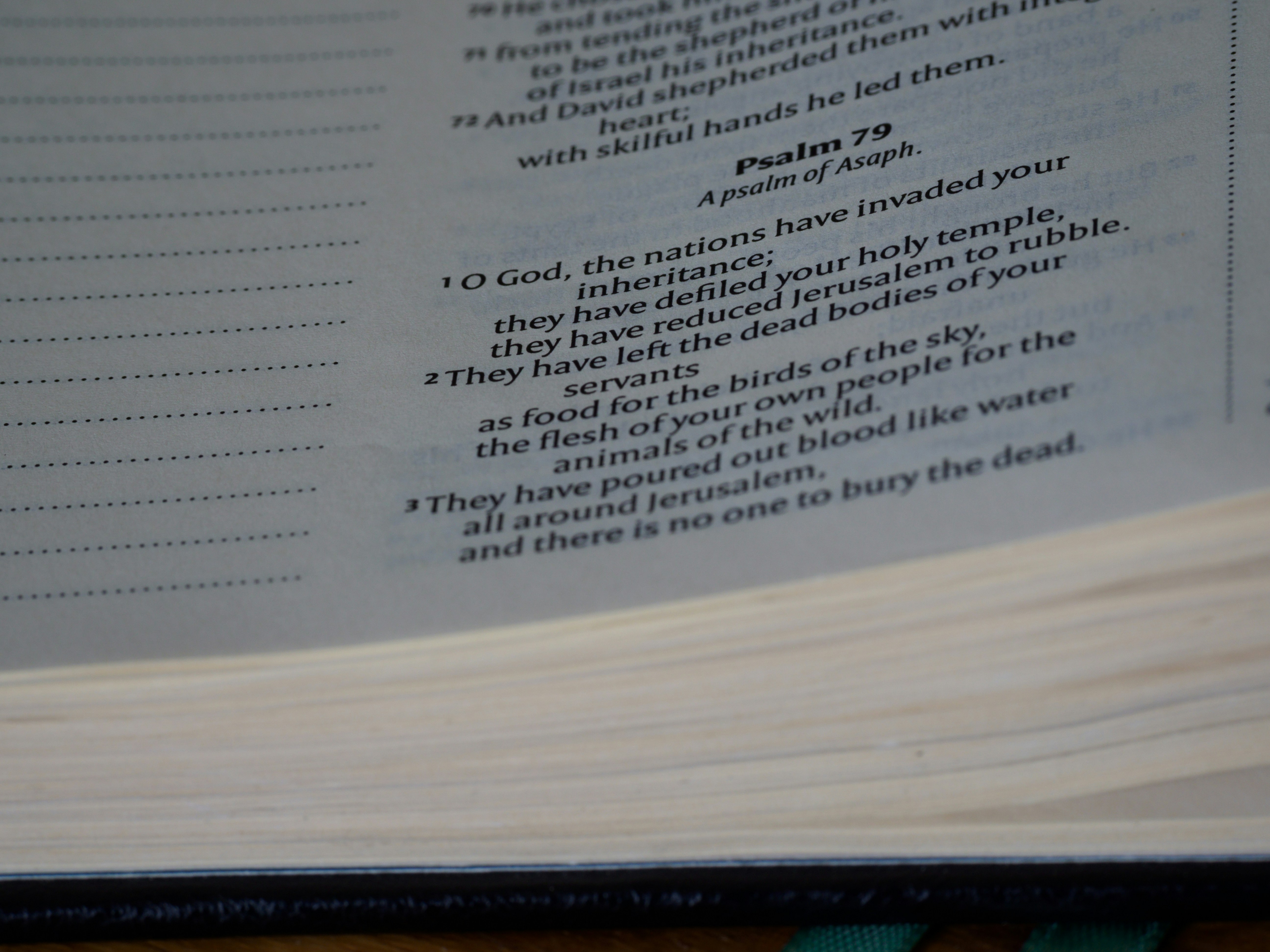 Photo by brett_jordan