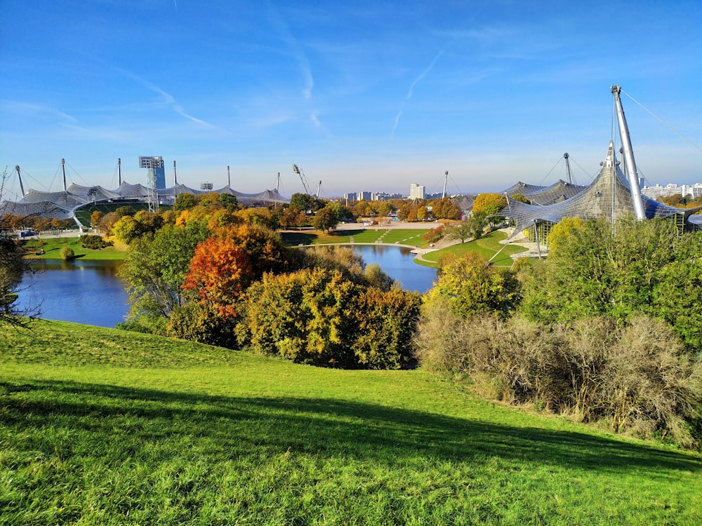 a grassy area with a body of water and trees in the back