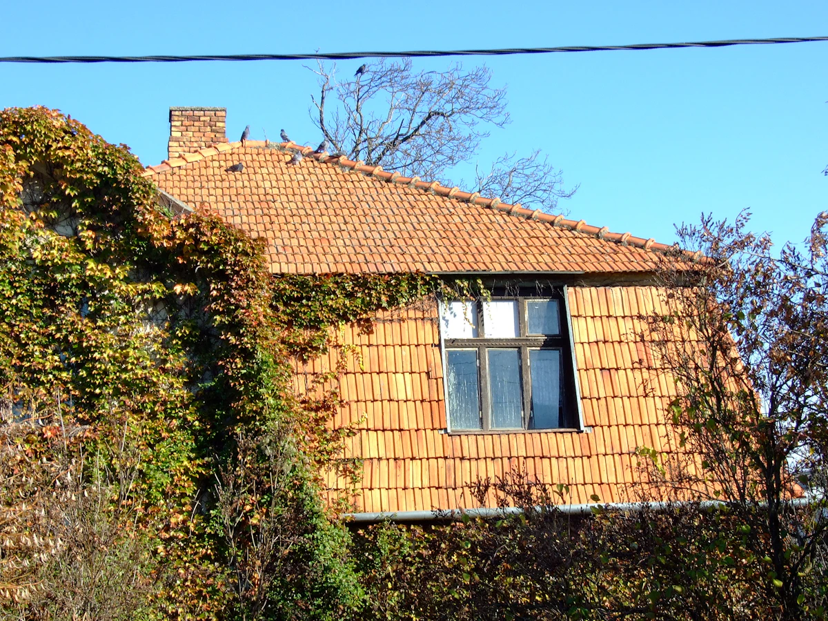 Architectural shingle — 4000 sqft