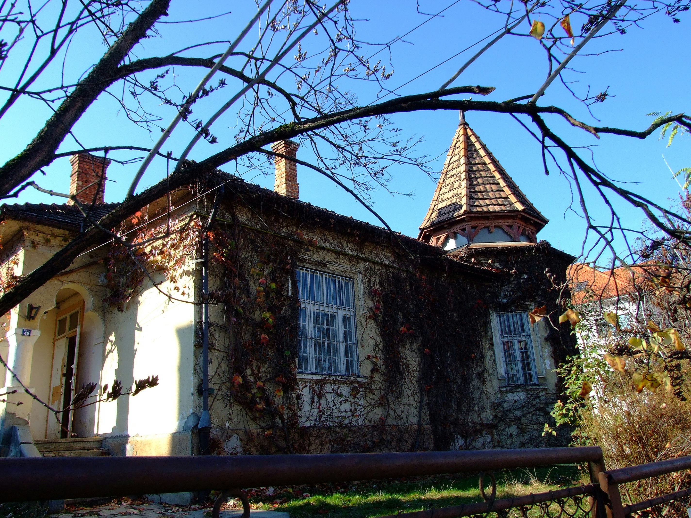 Photo by thorai9akira