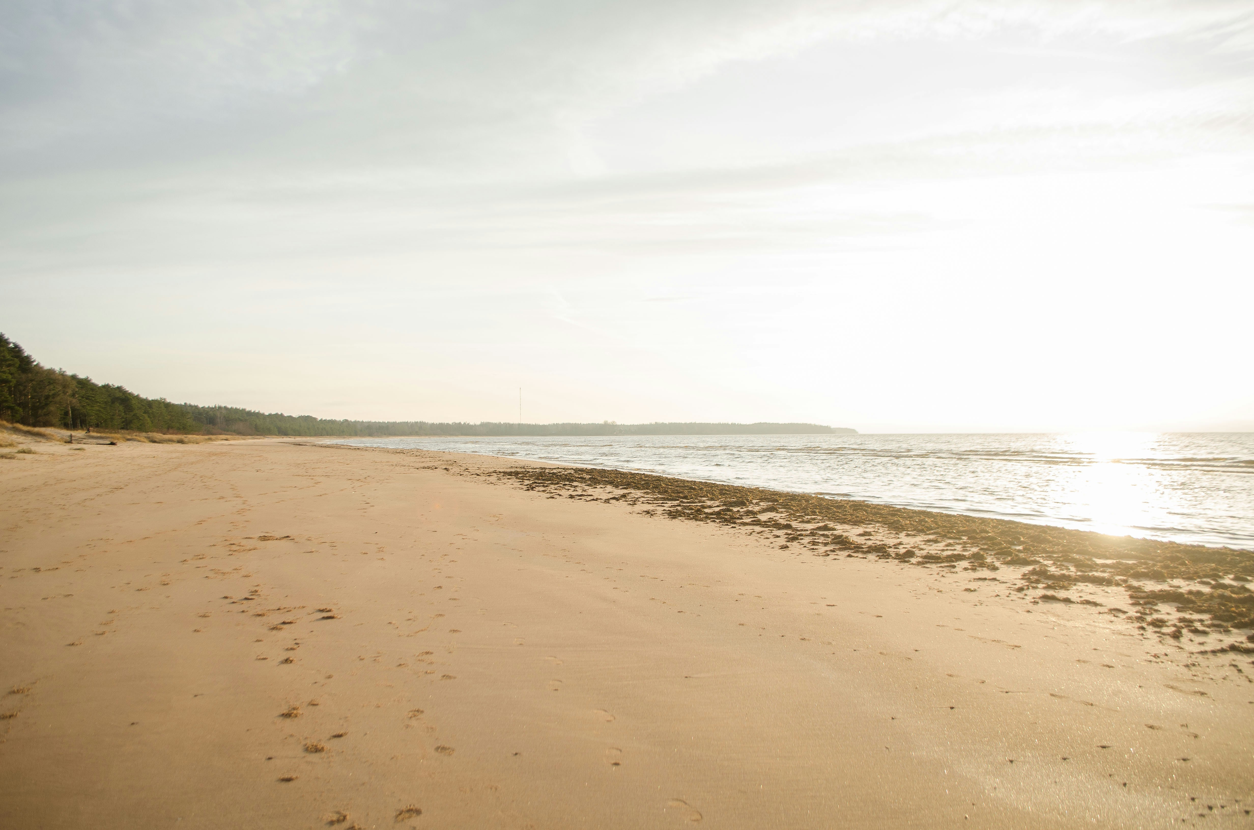 Photo by kotrynajuskaite