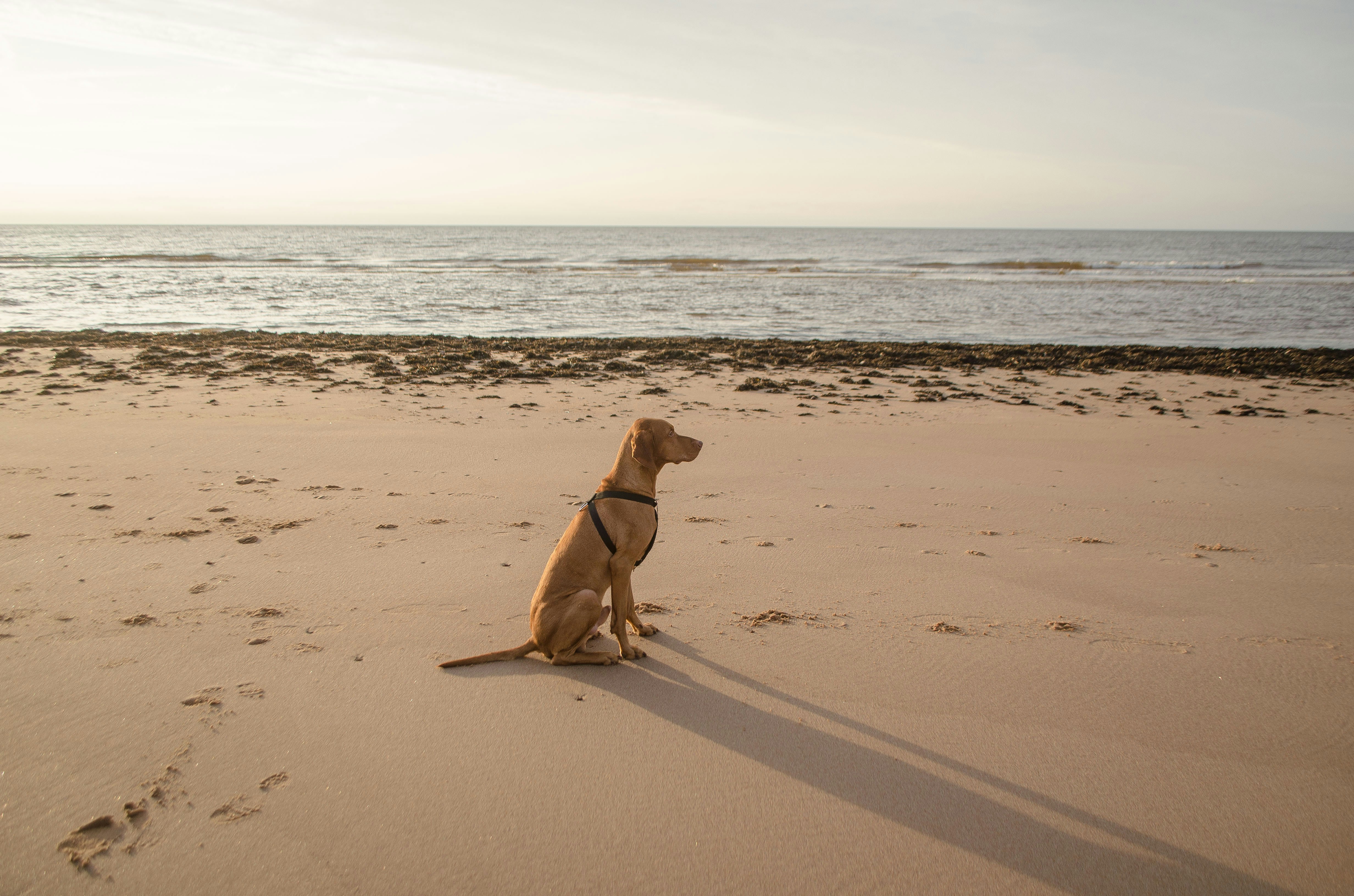 Photo by kotrynajuskaite