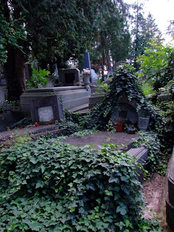 a garden with a stone structure