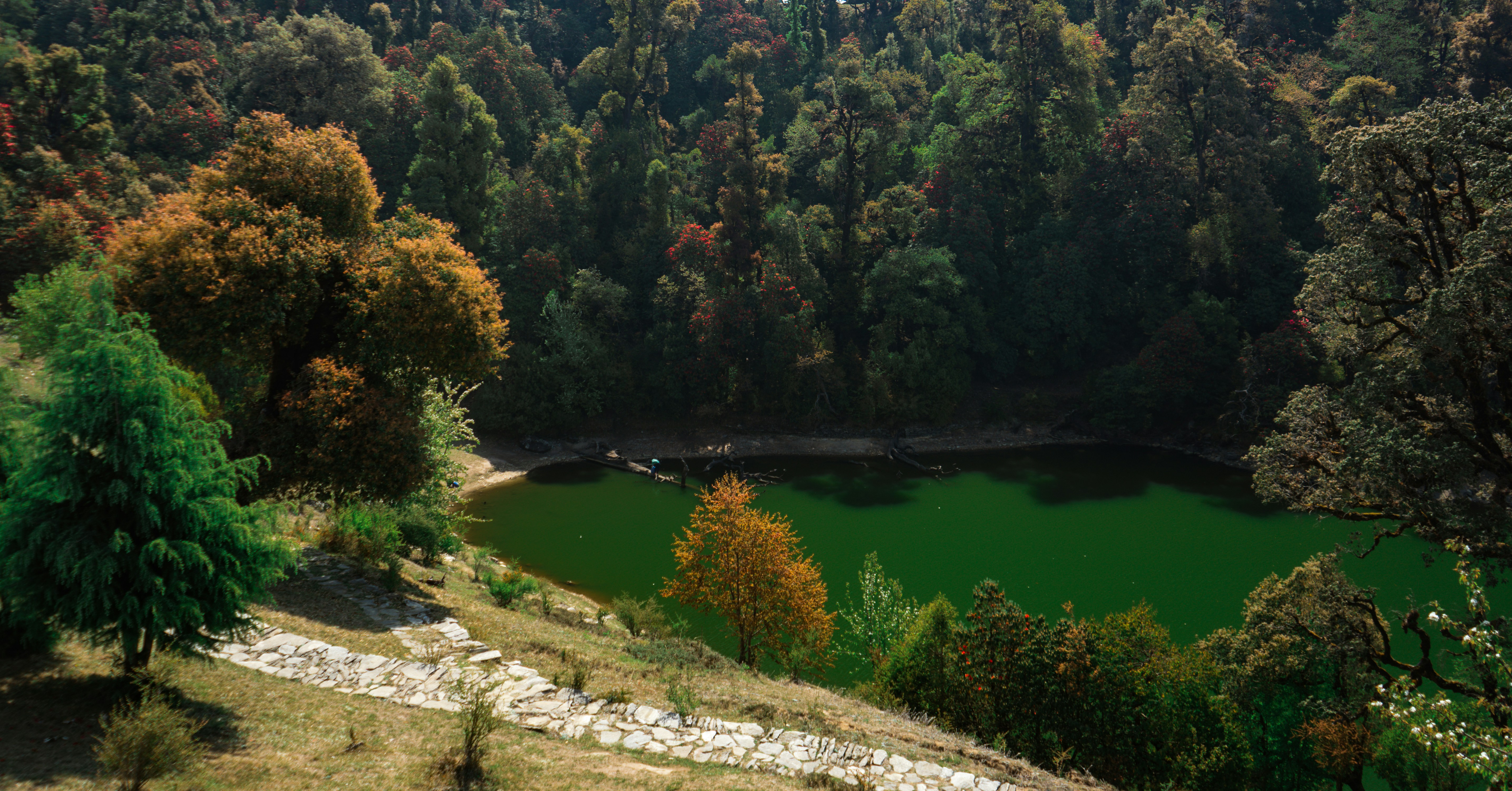 Photo by photographsbyashish