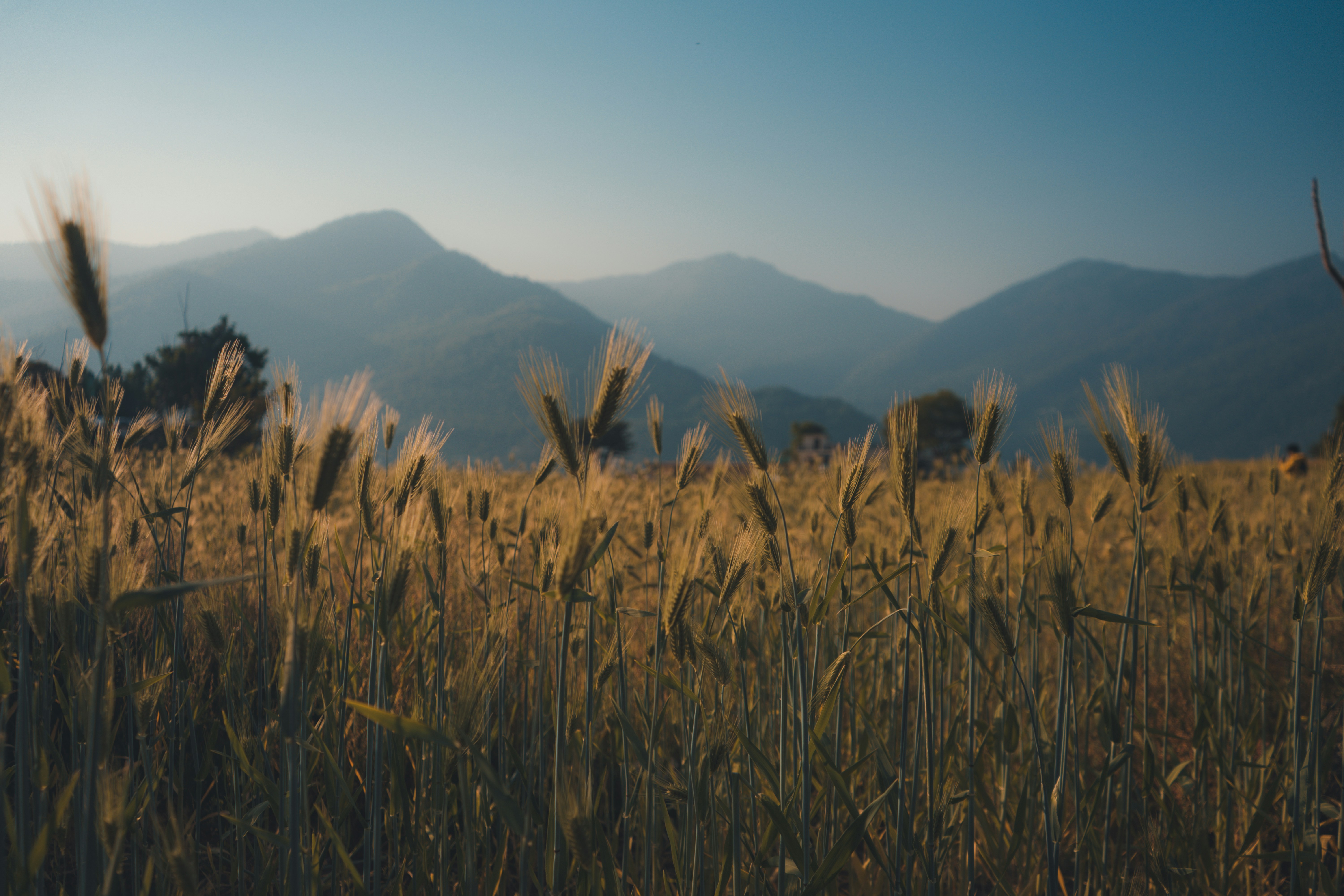 Photo by photographsbyashish