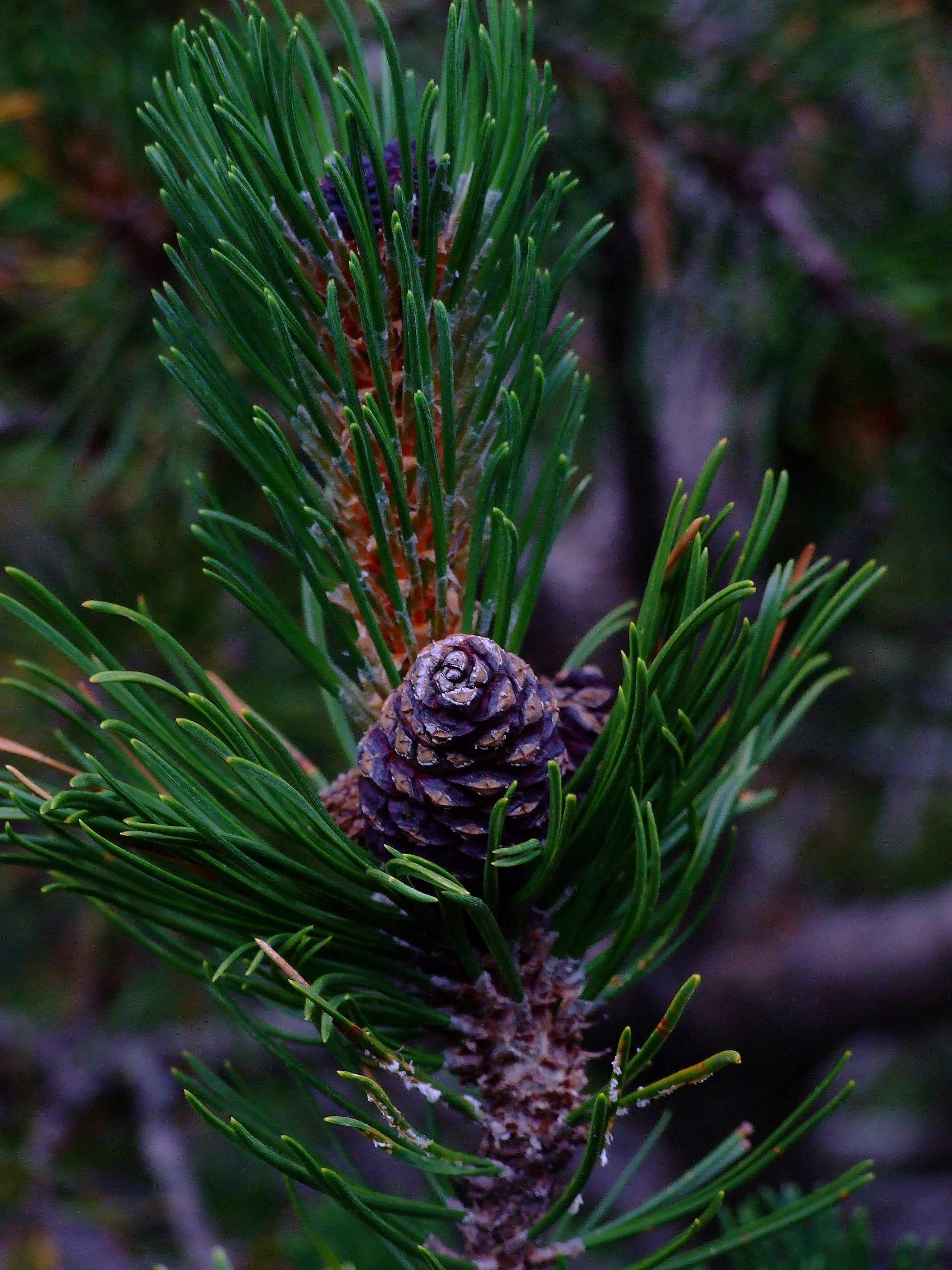 Photo by thorai9akira