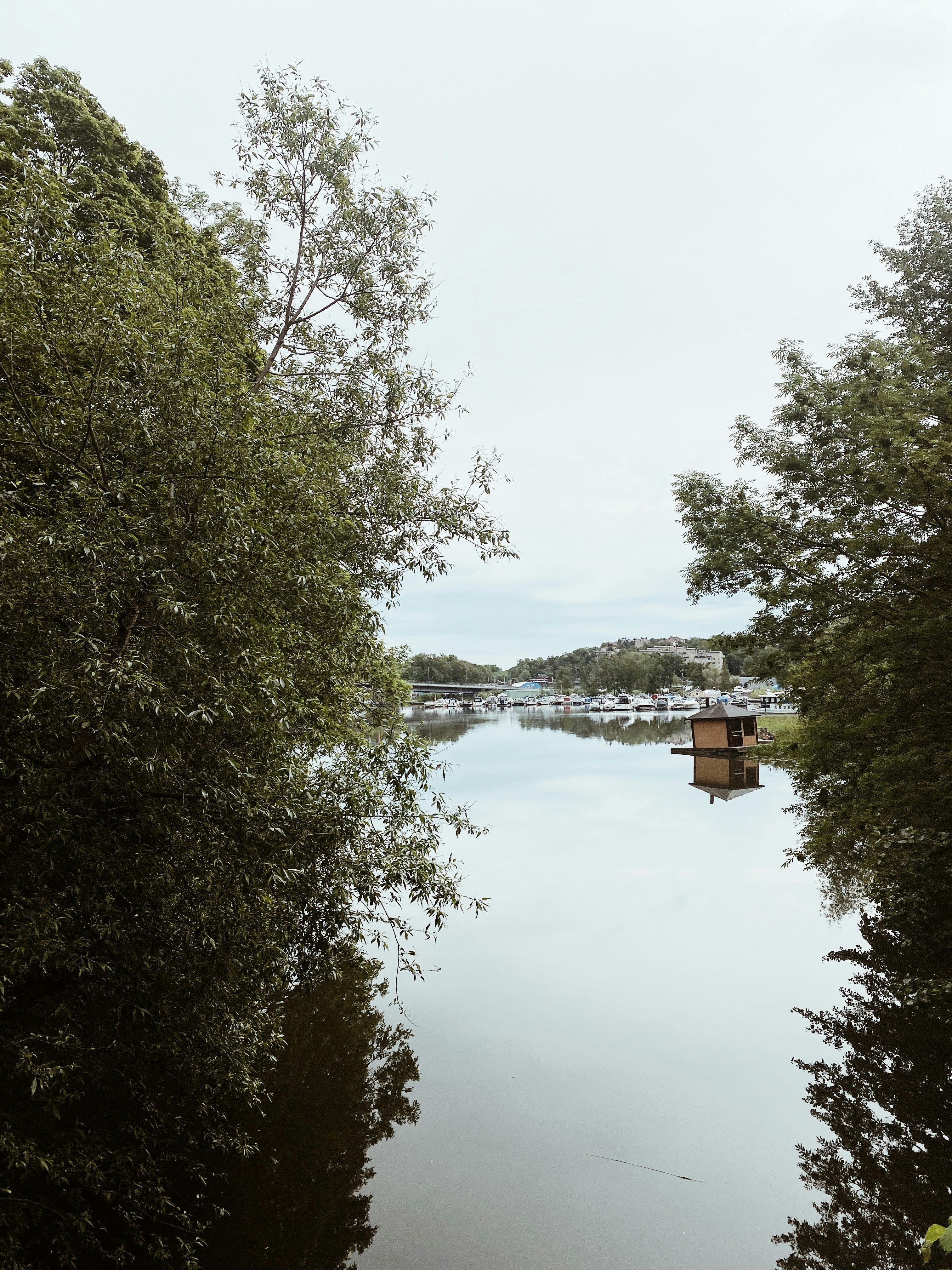 Photo by bodiklena2022