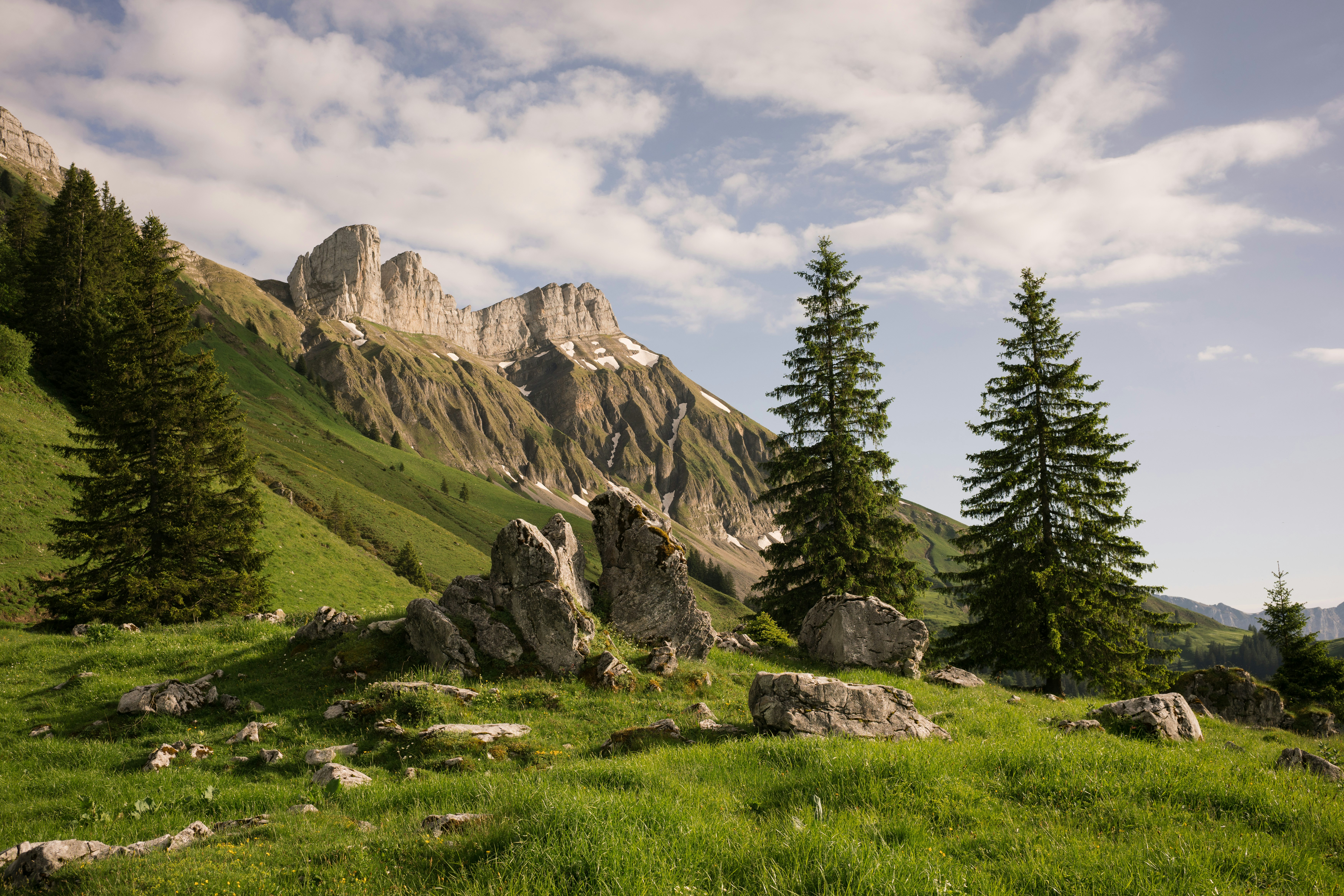 Photo by fabianbetto