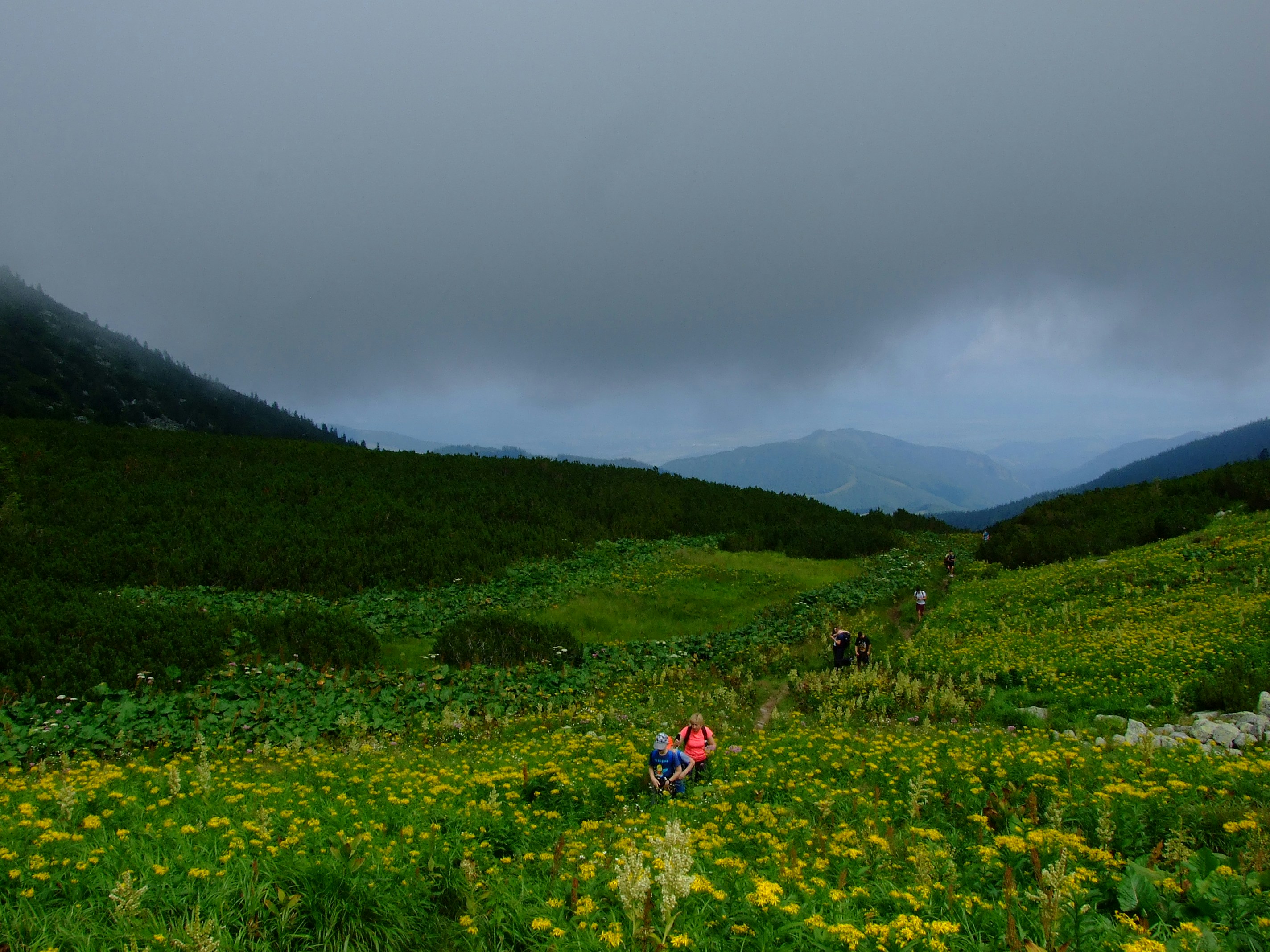 a group of people walking on a grassy hill