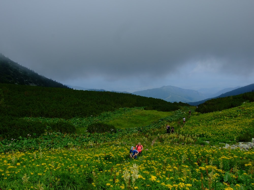 a group of people walking on a grassy hill