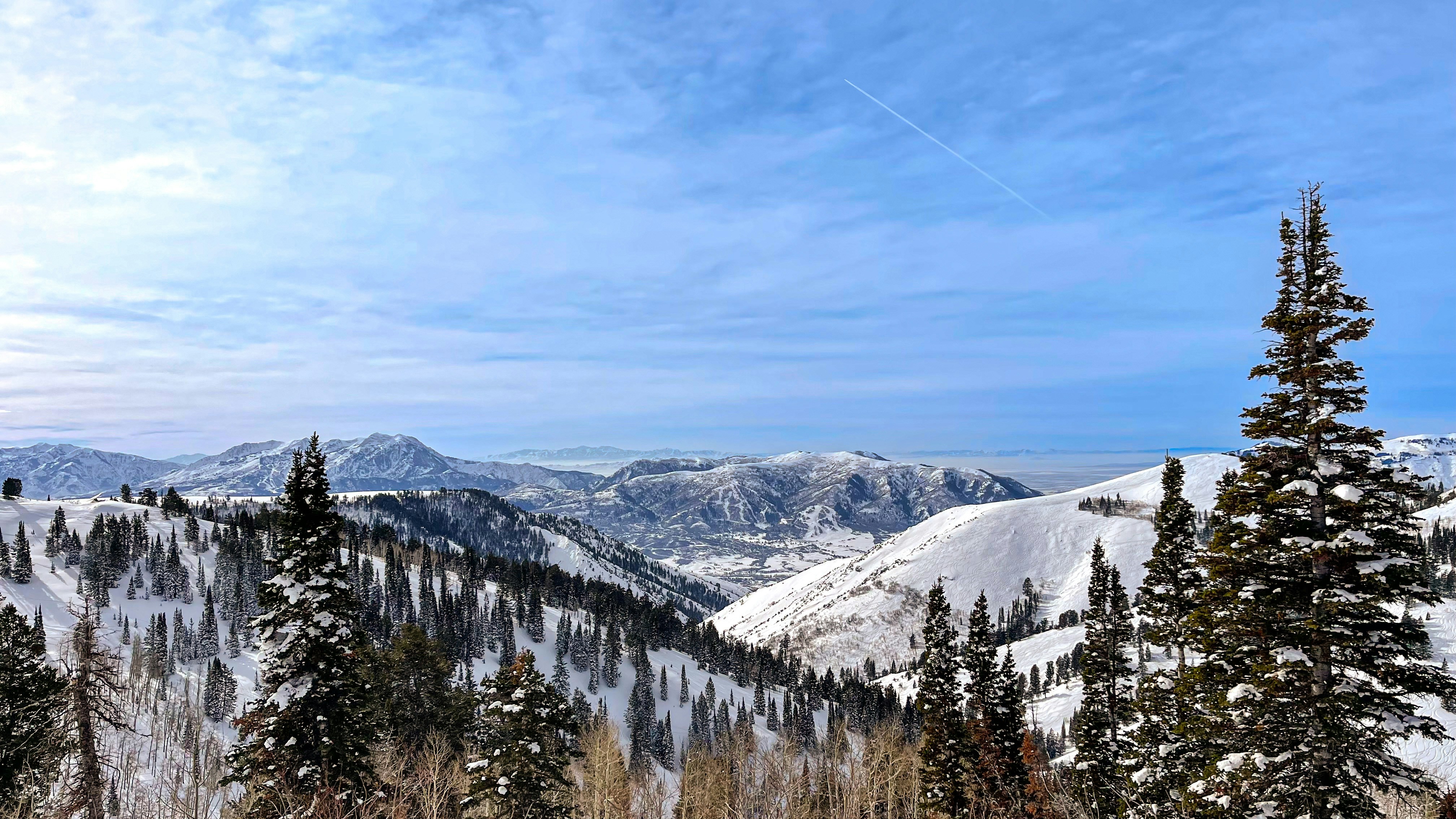 Photo by lej__photography