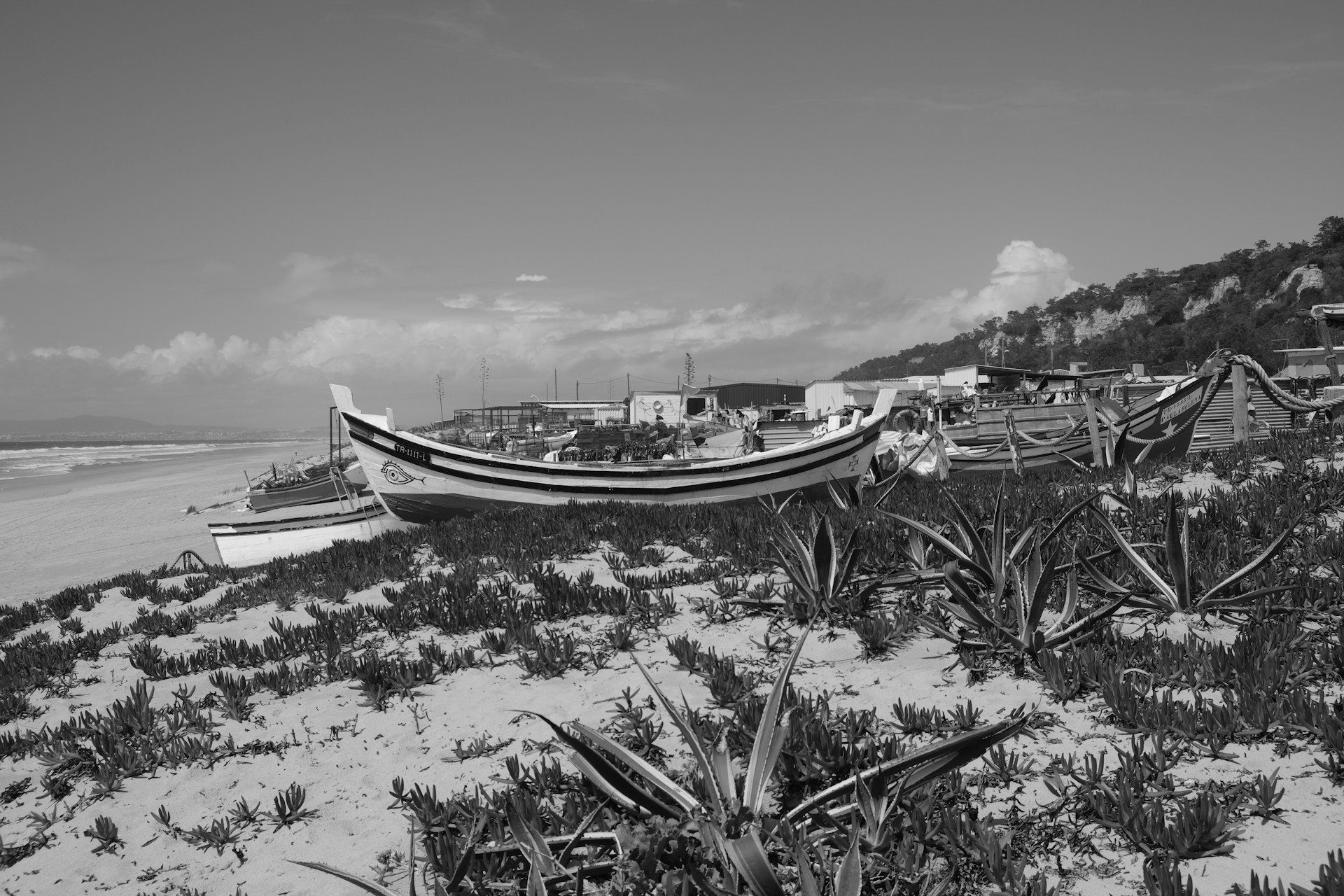 a group of boats on a beach