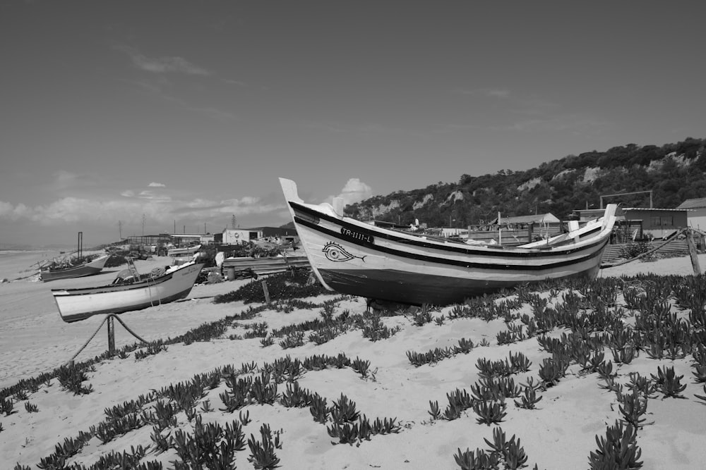 boats on the snow