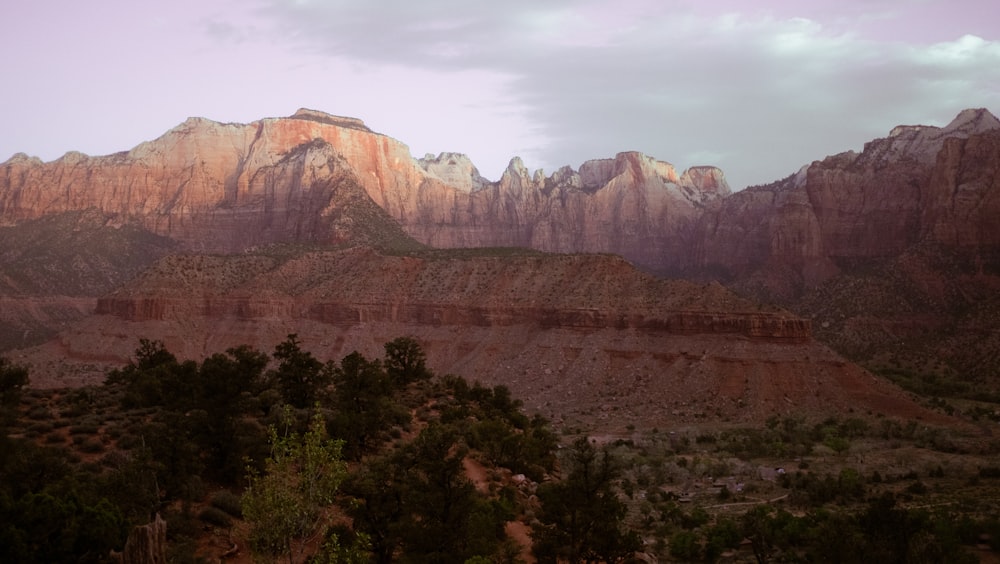 a landscape with trees and mountains in the back