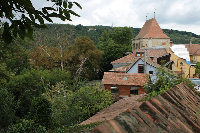 Best Co-Working Spaces in Sighisoara for Remote Workers and Freelancers