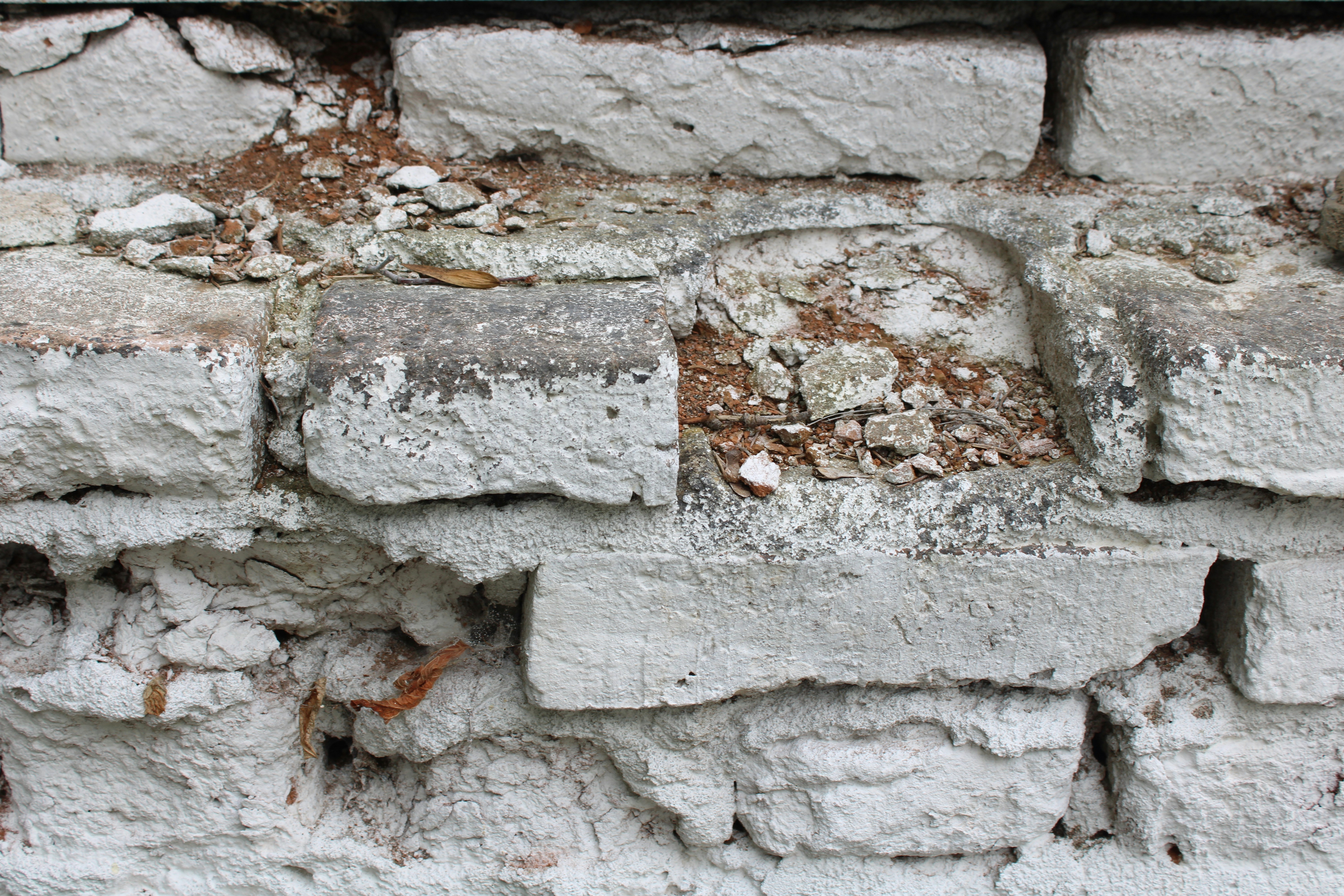 Photo by thorai9akira