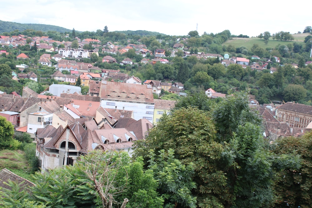 a group of houses surrounded by trees