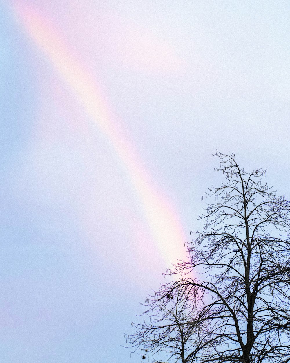 a rainbow in the sky