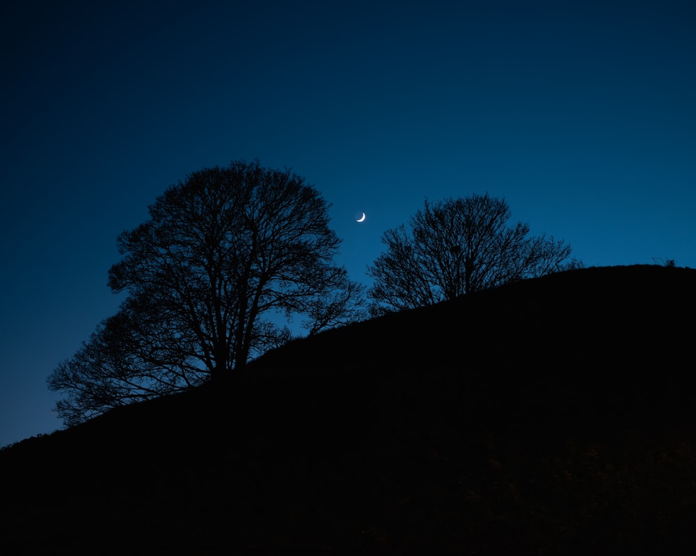 a hill with trees and the moon in the sky