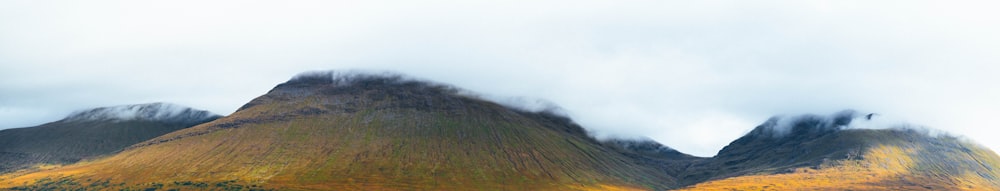 a grassy hill with fog