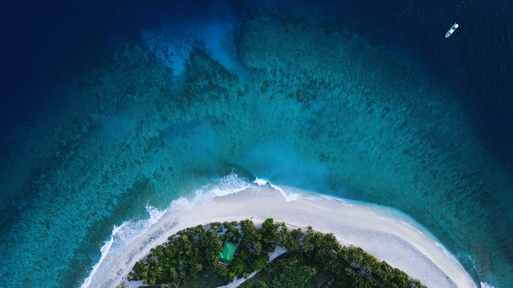 an aerial view of a beach and ocean