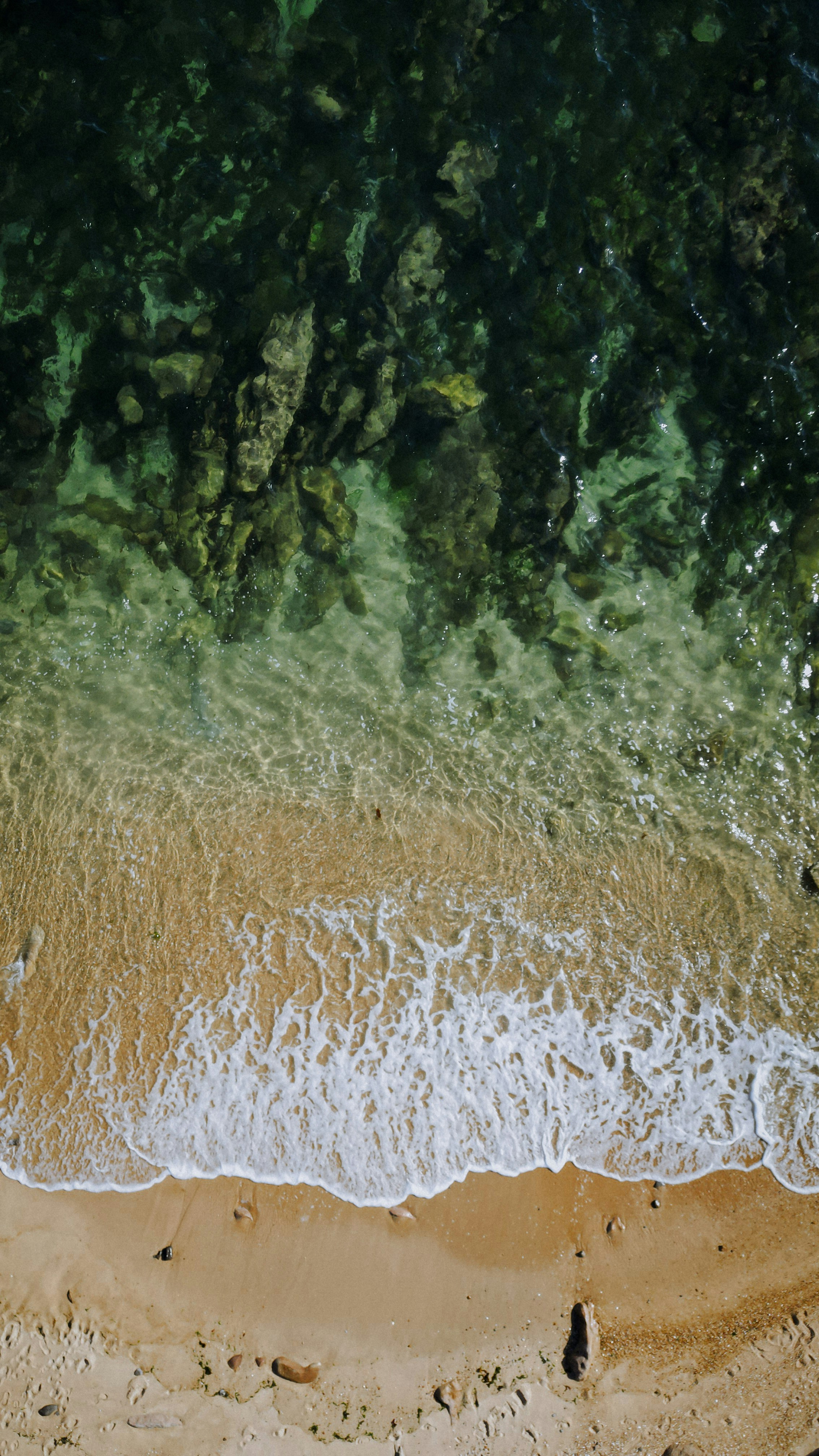 a river with trees on the side