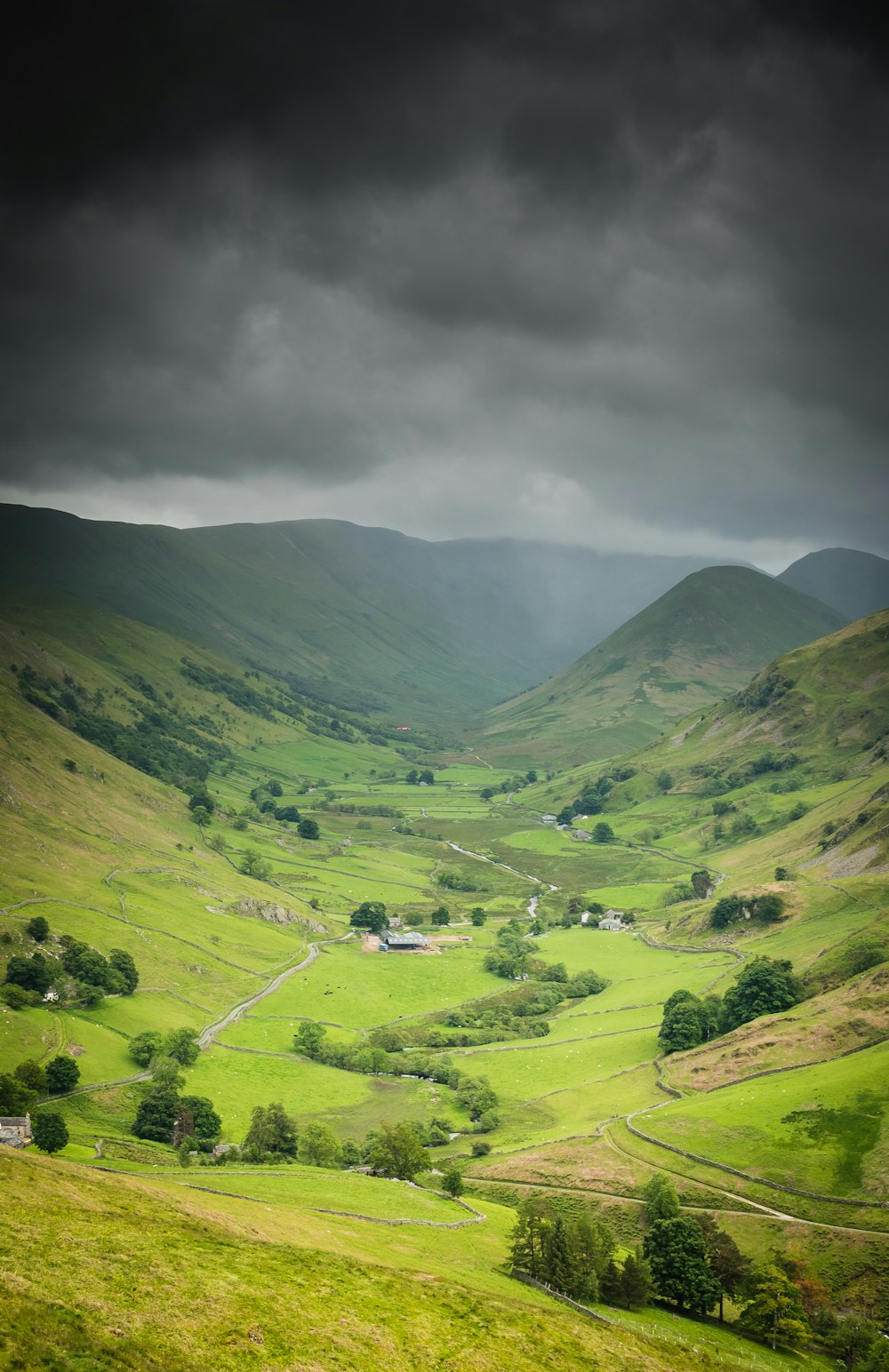 a green valley with trees and a road