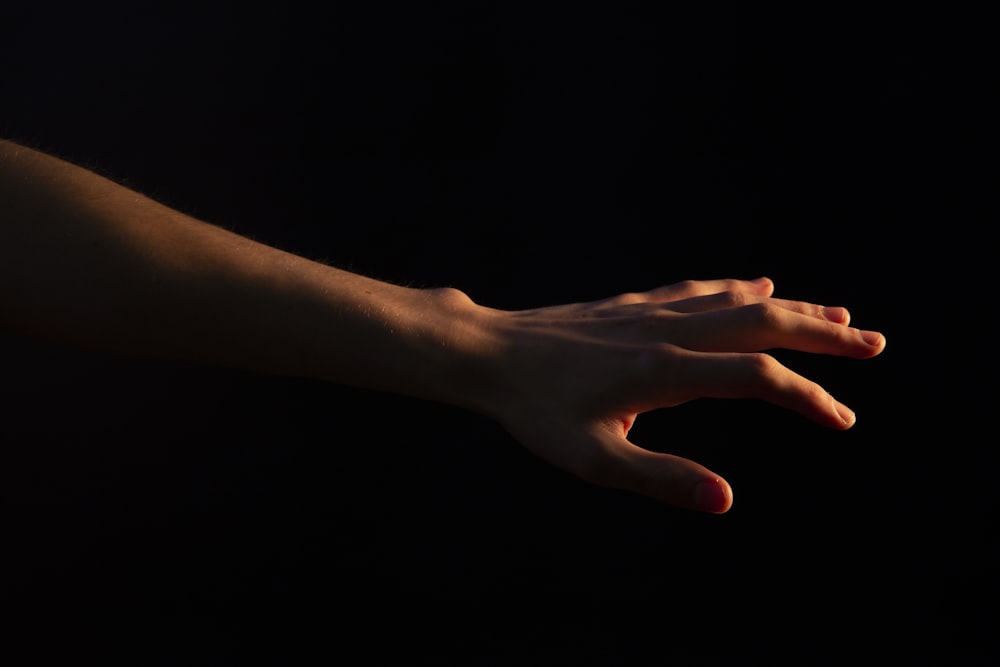 a close-up of a hand