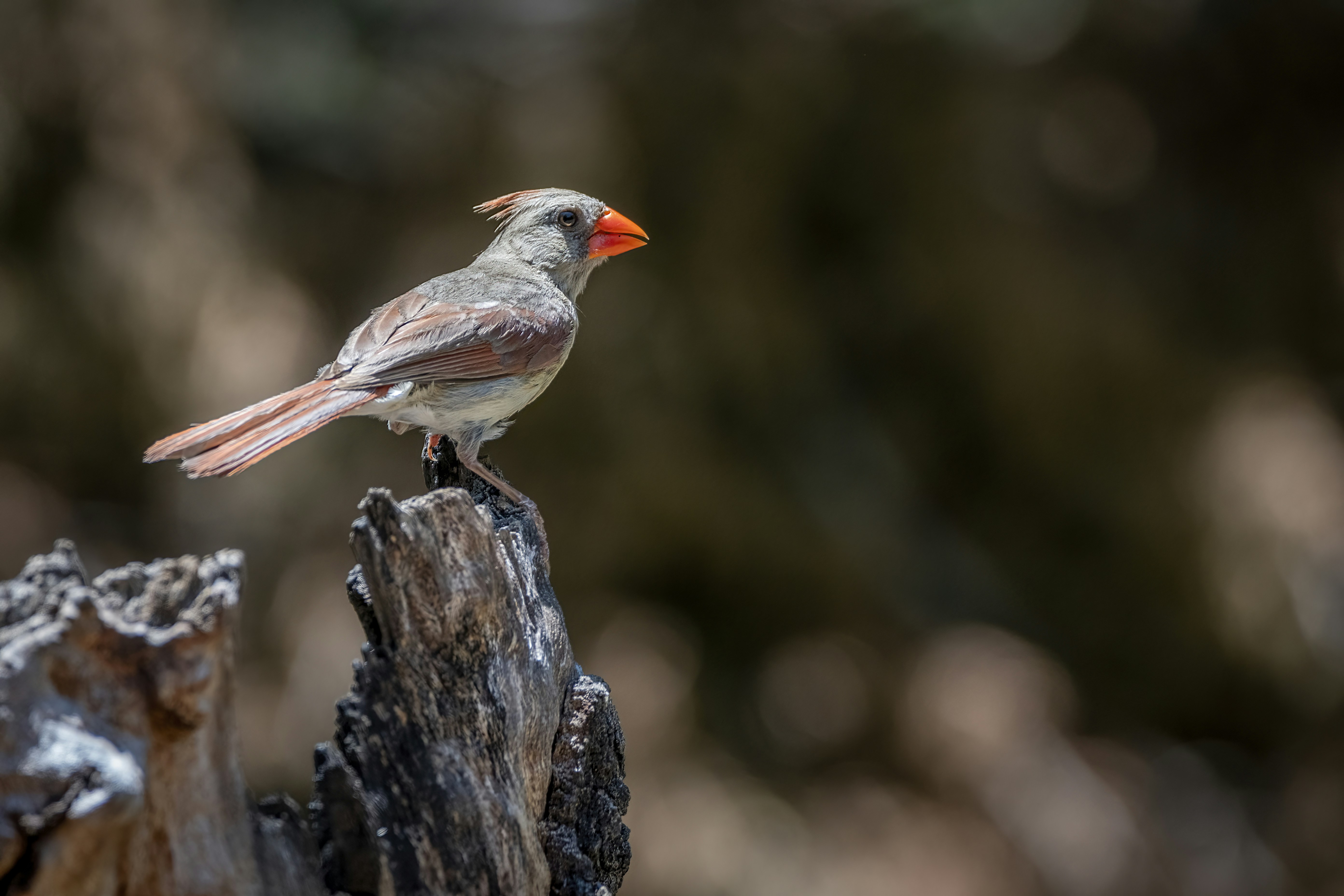 Photo by tracminhvu