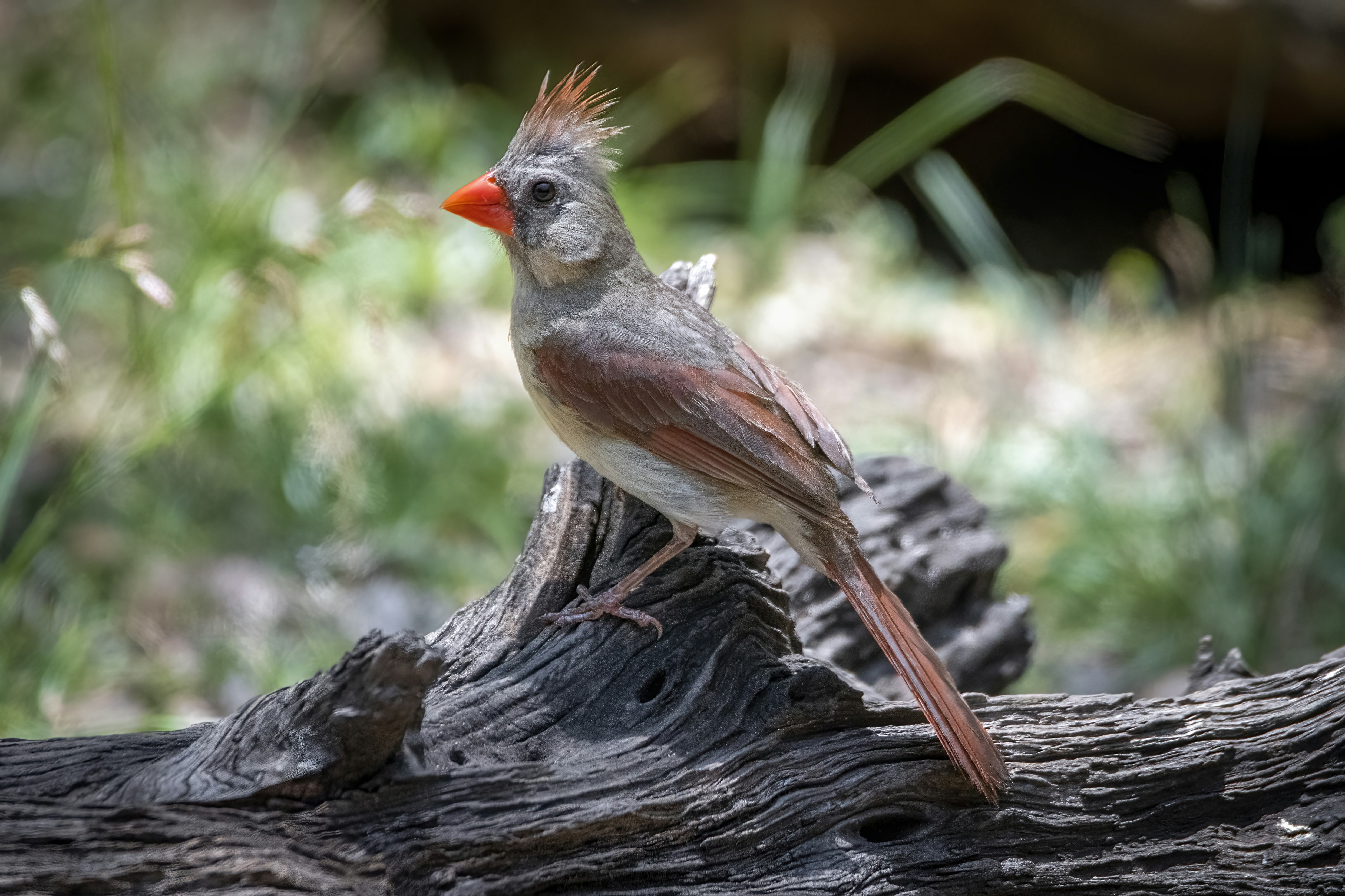 Photo by tracminhvu