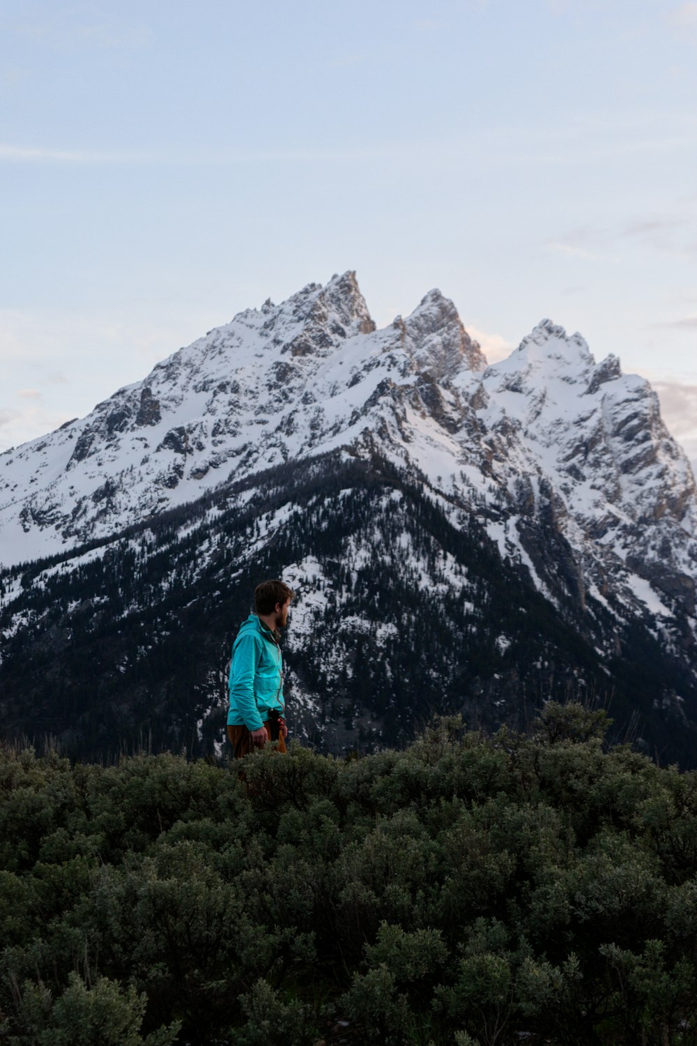 a person standing on a hill with trees and a mountain in the background