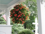 A charming porch corner with hanging baskets full of colorful blooms.