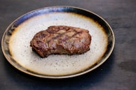 a piece of meat on a plate