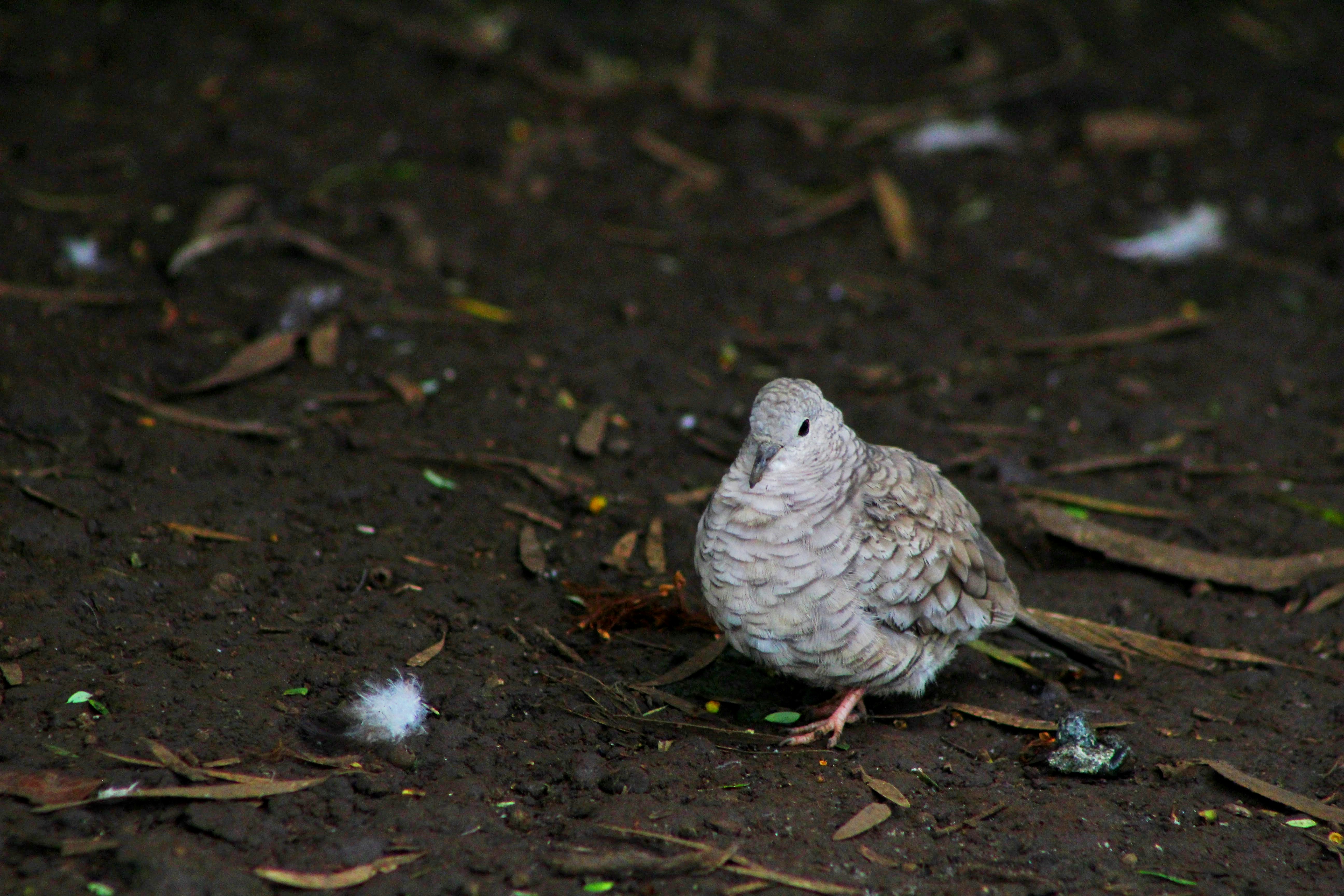 Photo by jedwardmarshall001