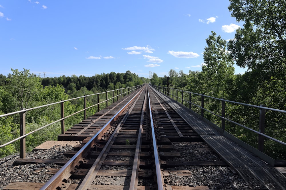 a train track with trees on the side