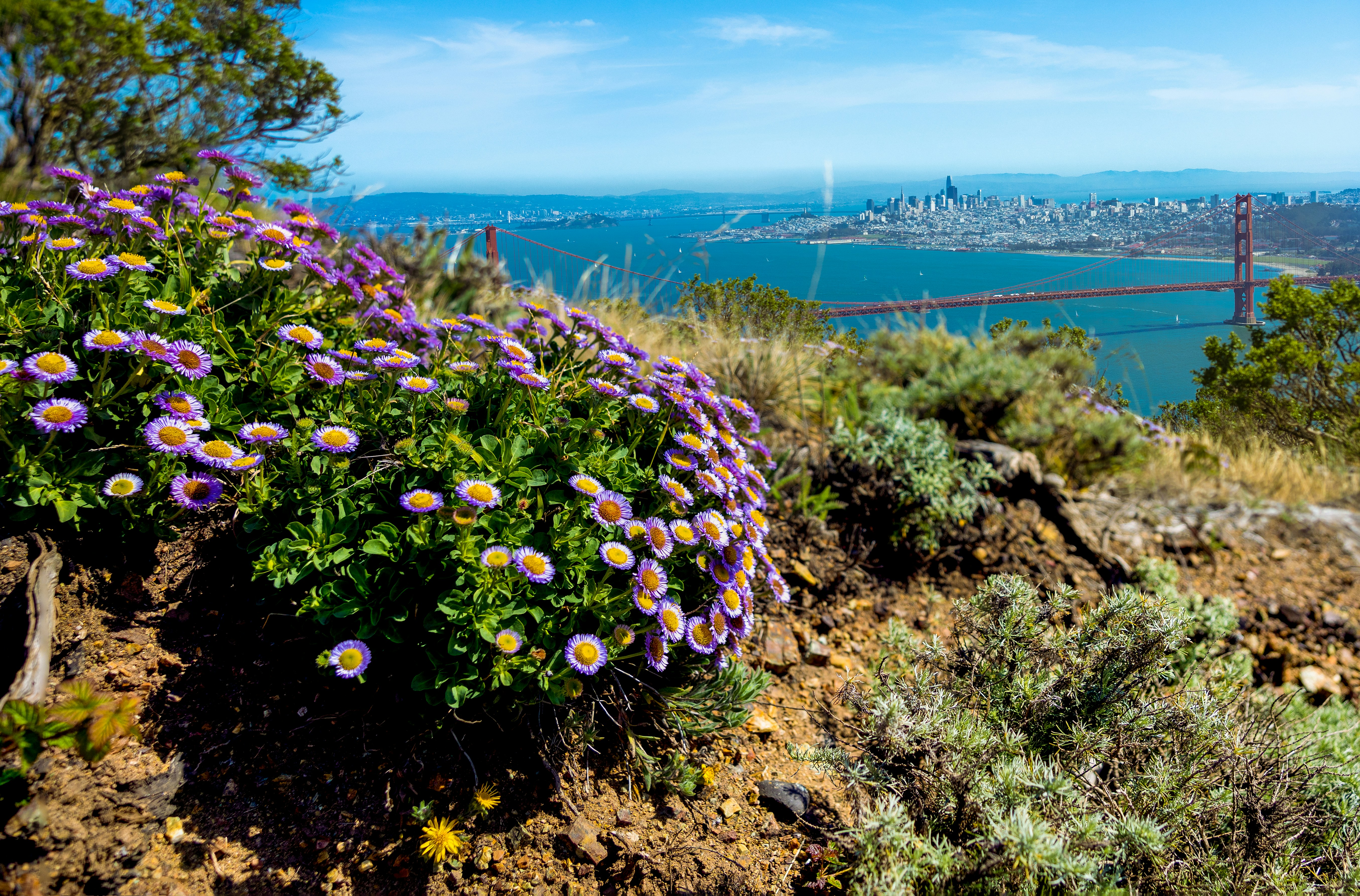 Ein Blick auf eine Stadt und das Wasser von einem Hügel