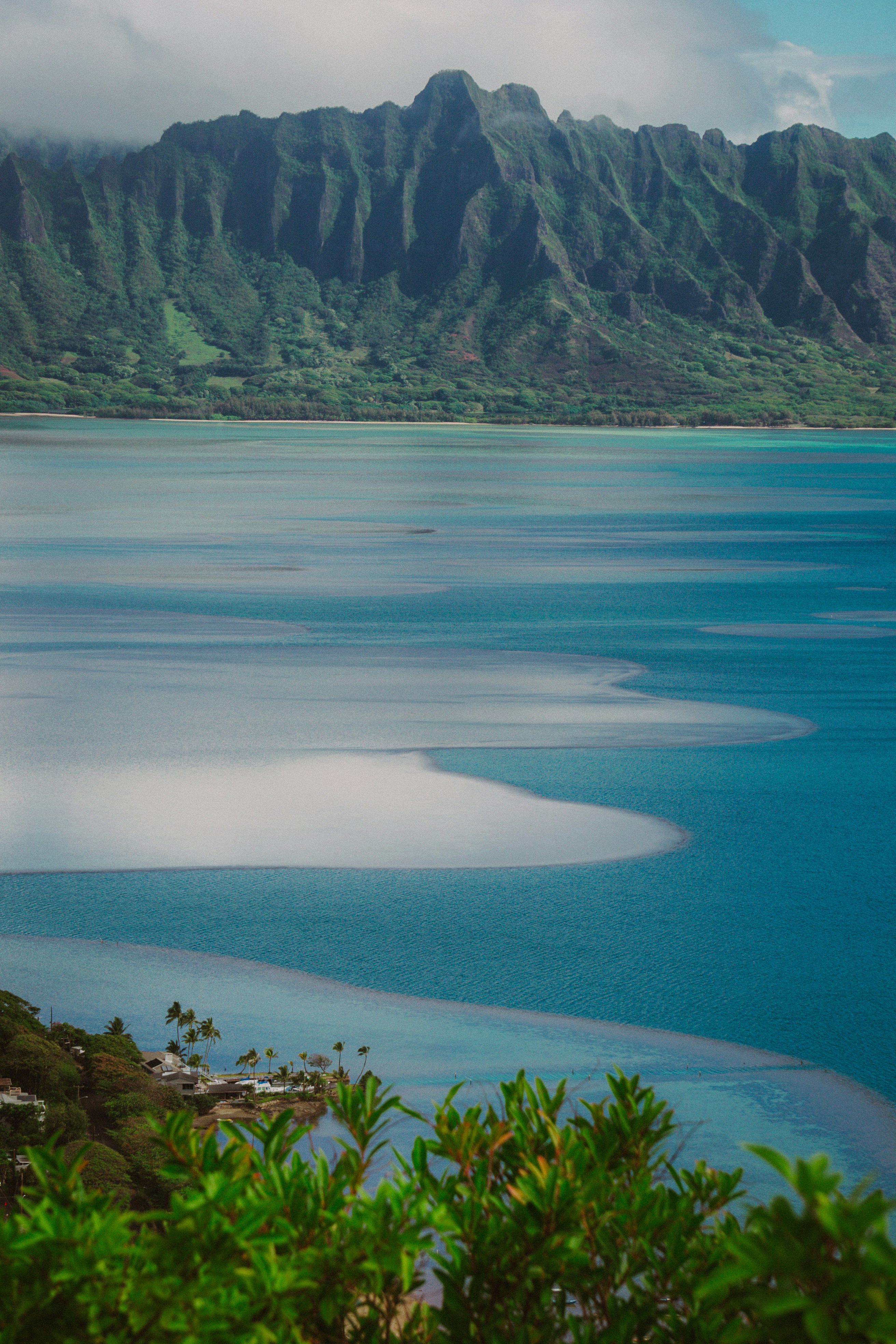 Photo by pics_by_harry