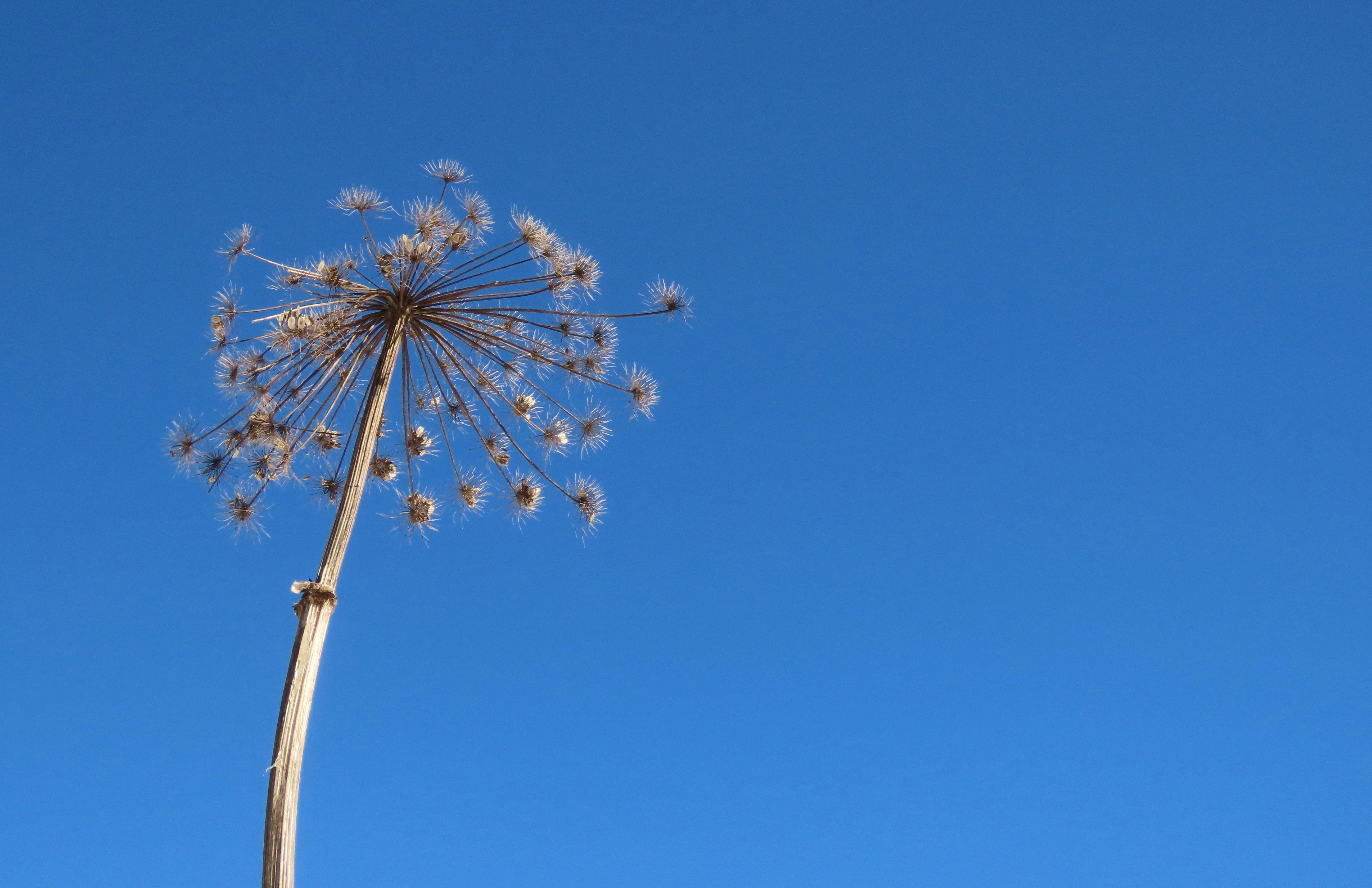 Photo by nsokolov114