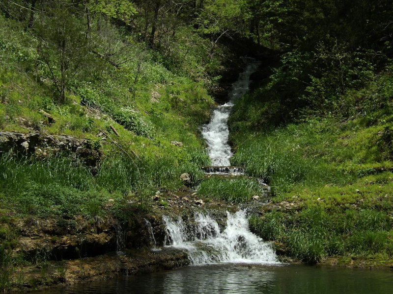 A clear stream cascading down a grassy, wooded hillside over a series of small rock ledges into a still green pool