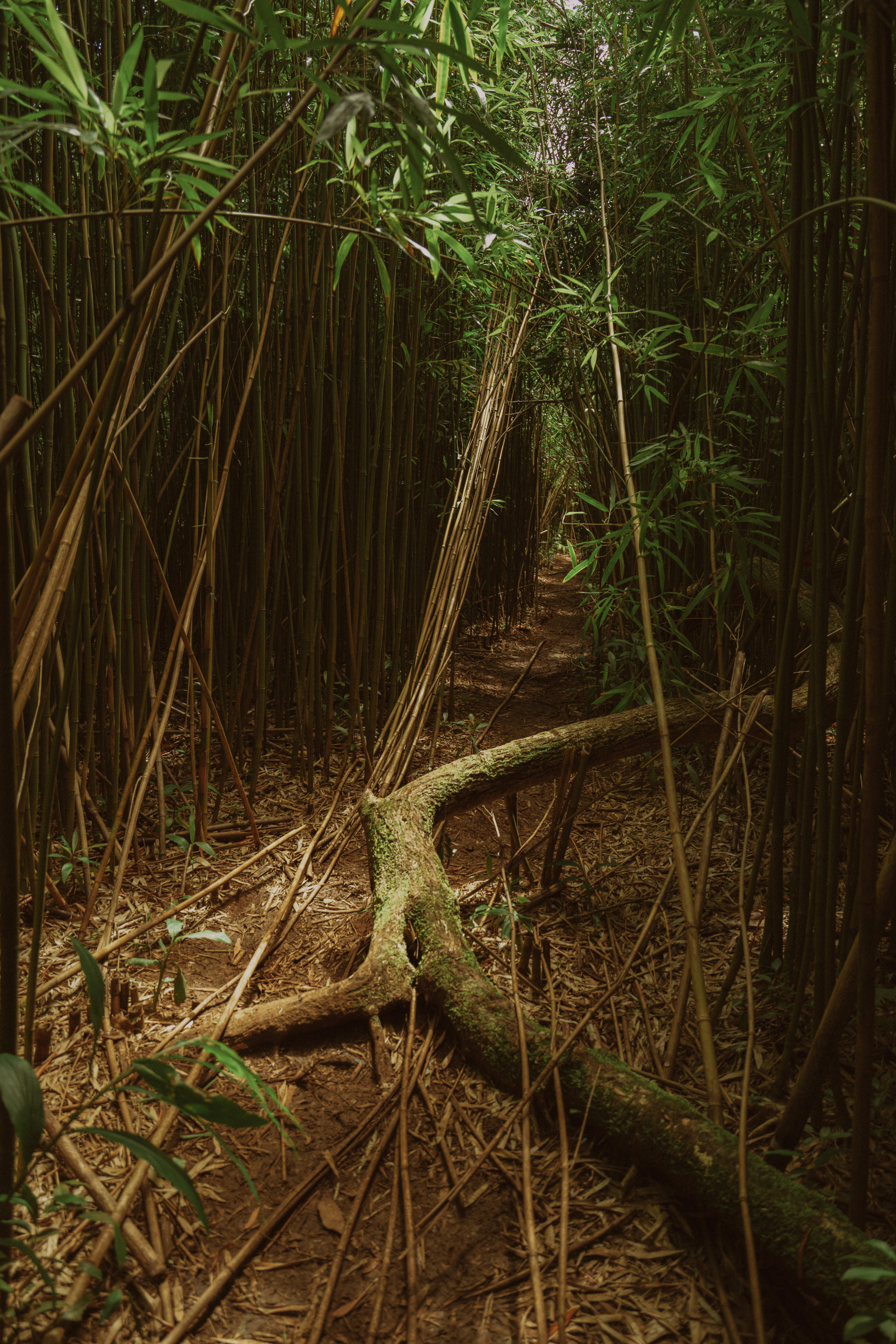 Photo by pics_by_harry